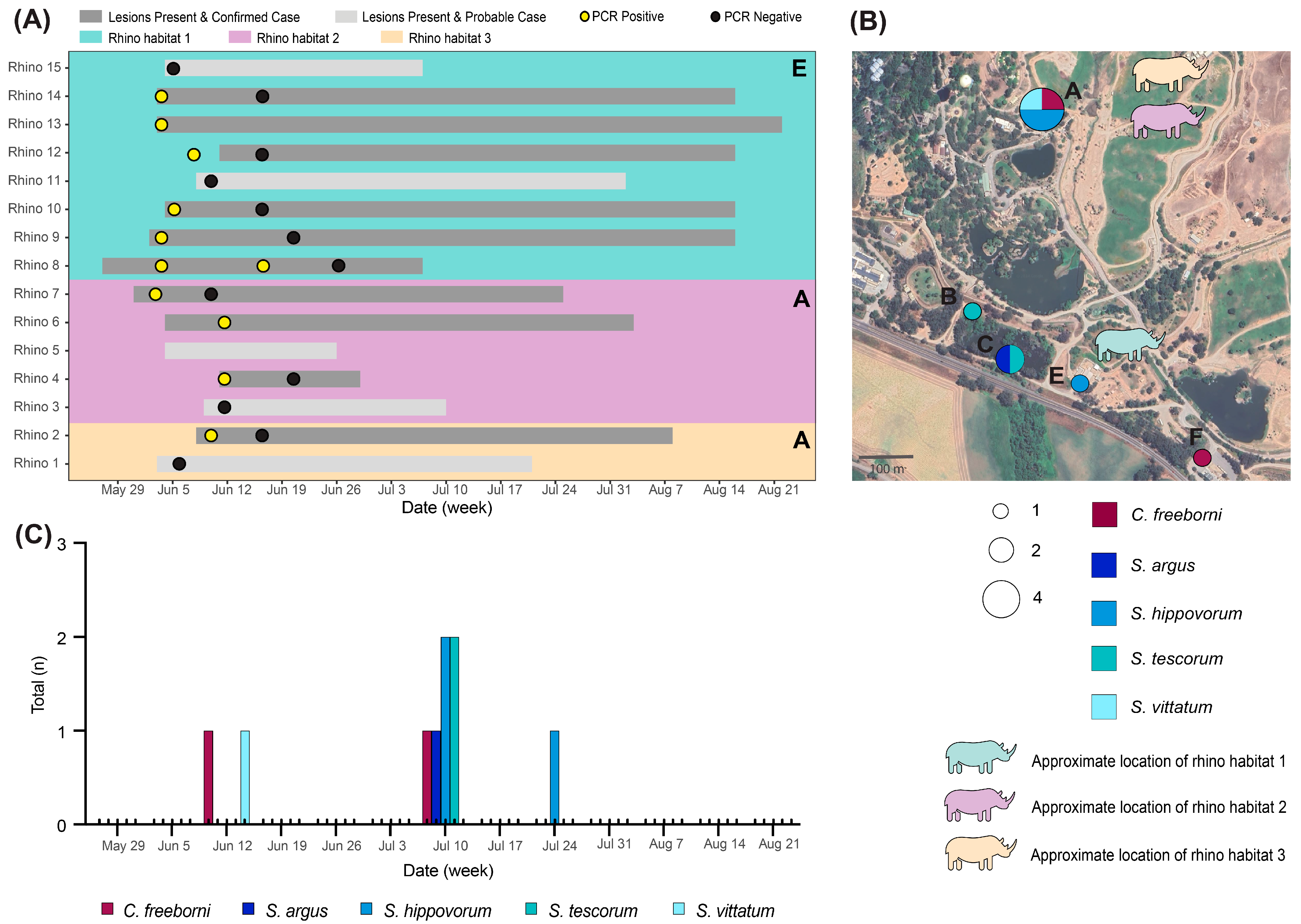 Viruses 16 01428 g005