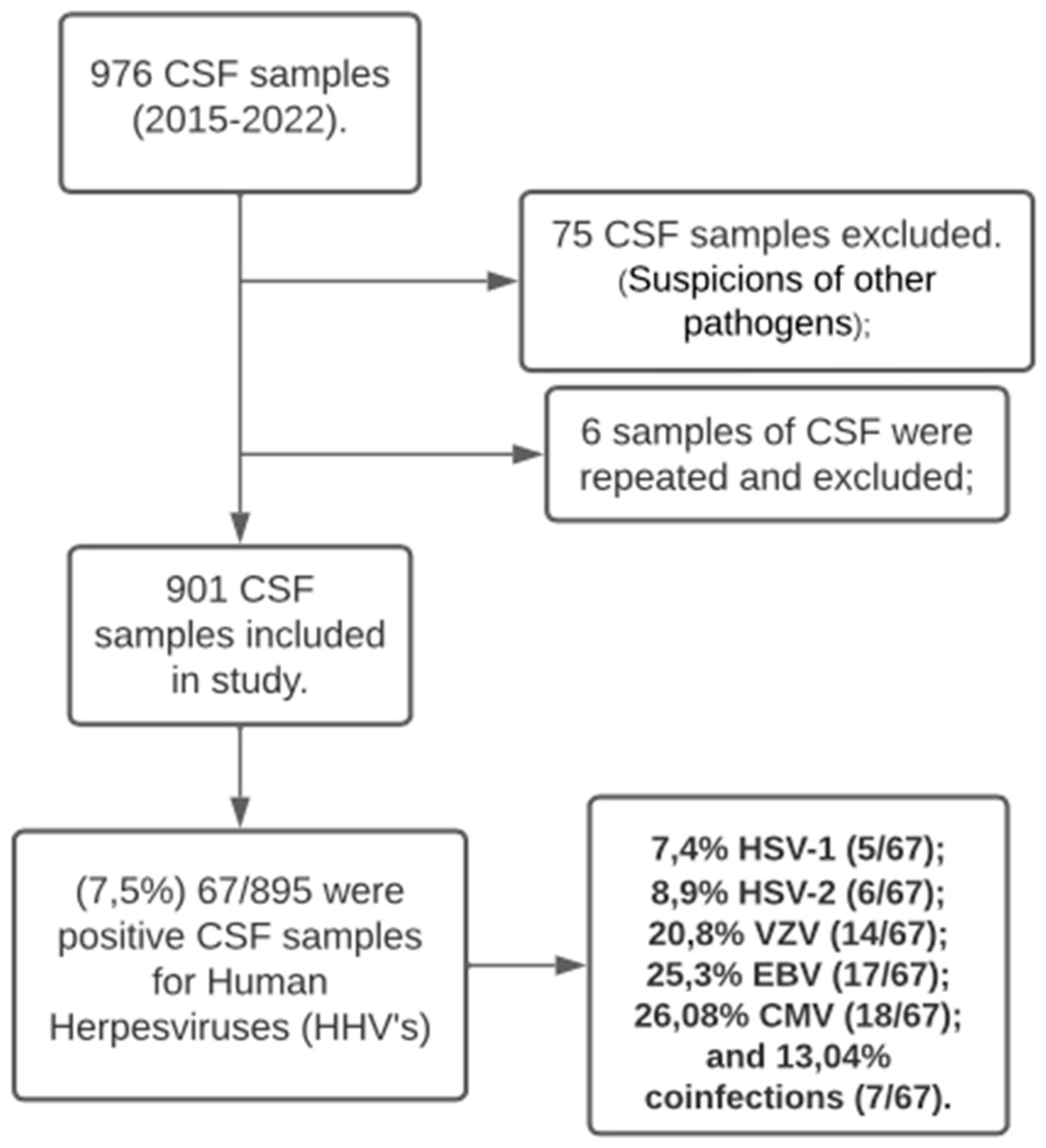 Viruses 16 01437 g001