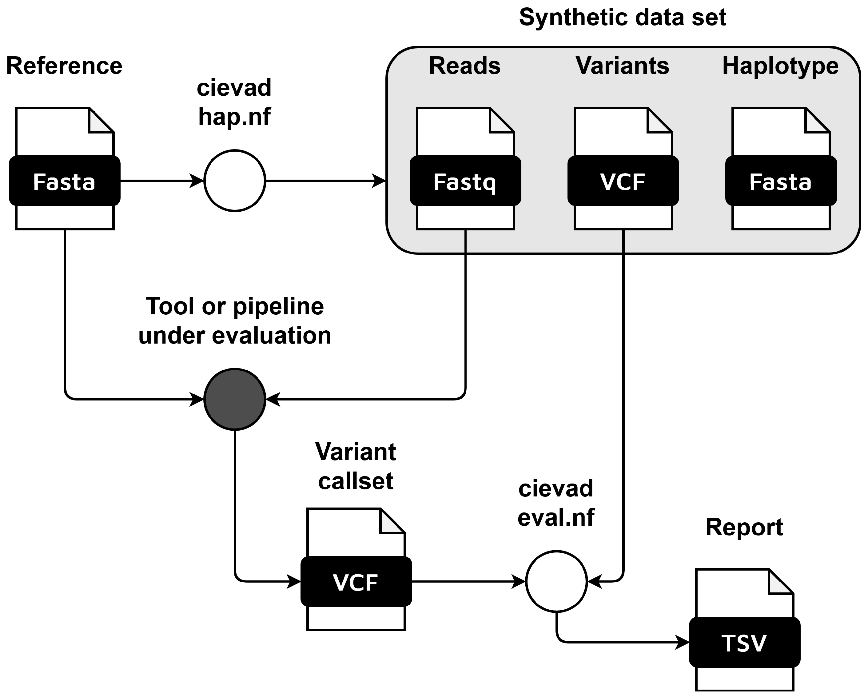 Viruses 16 01444 g0a1