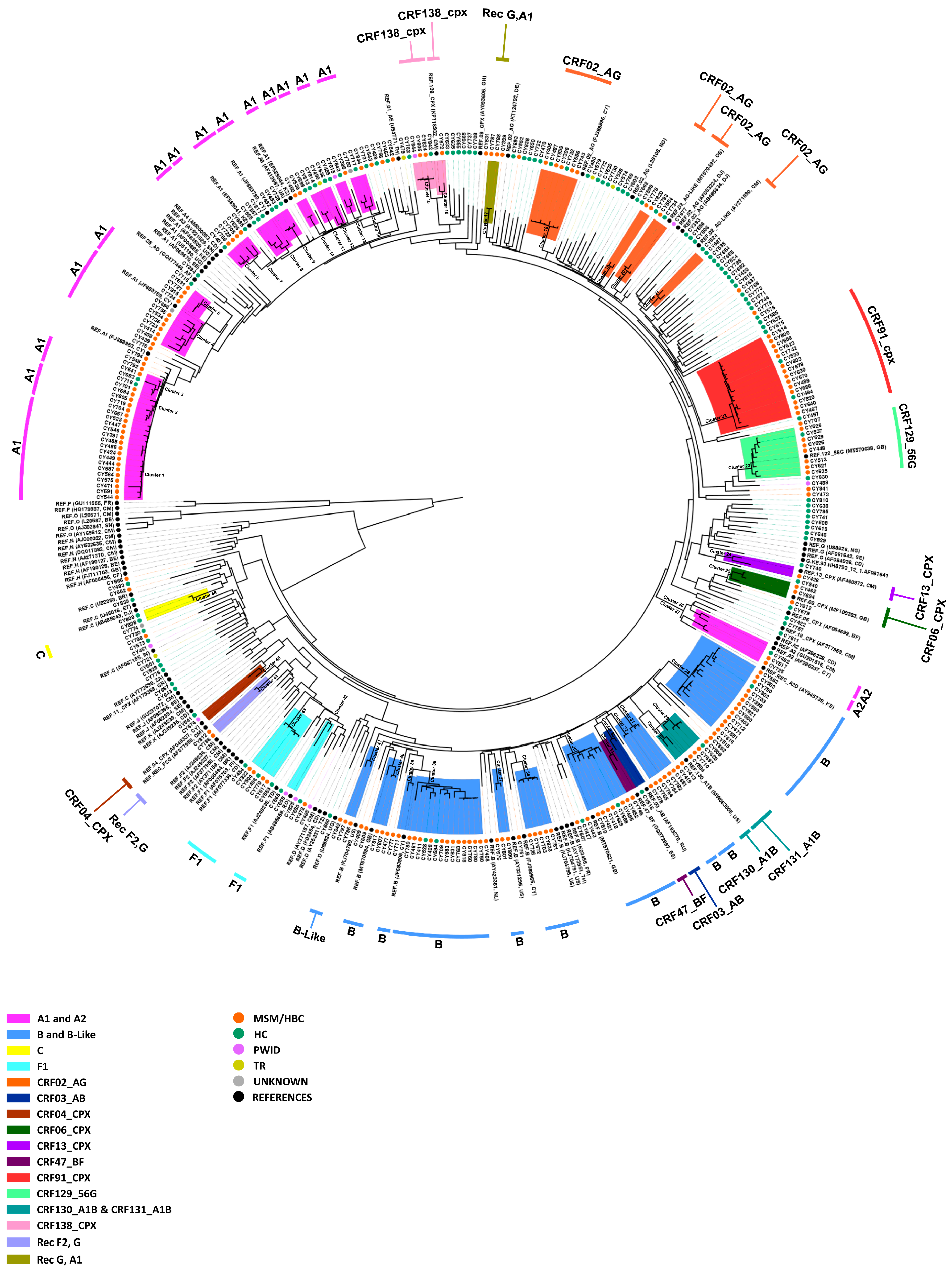 Viruses 16 01449 g001