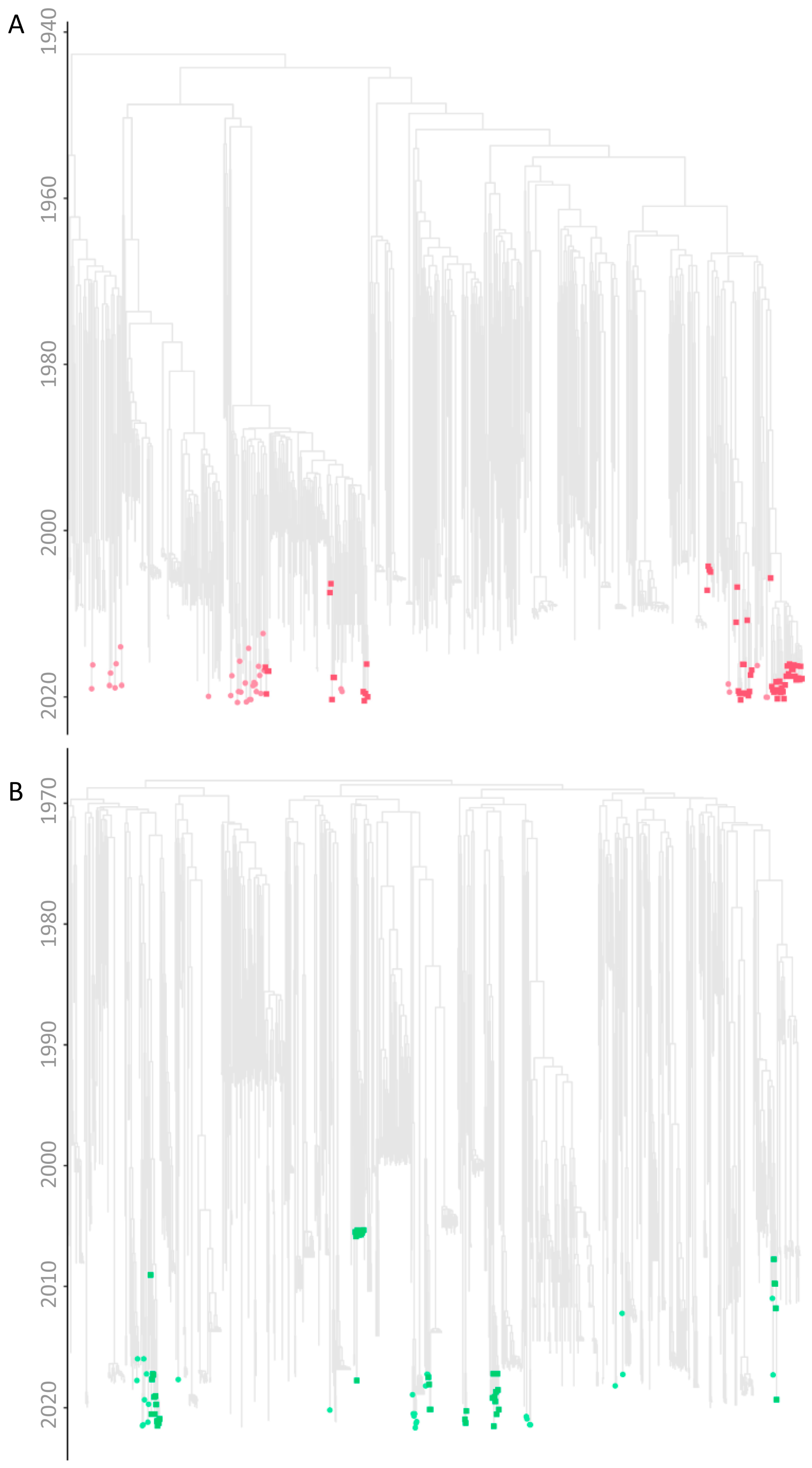 Viruses 16 01449 g002a