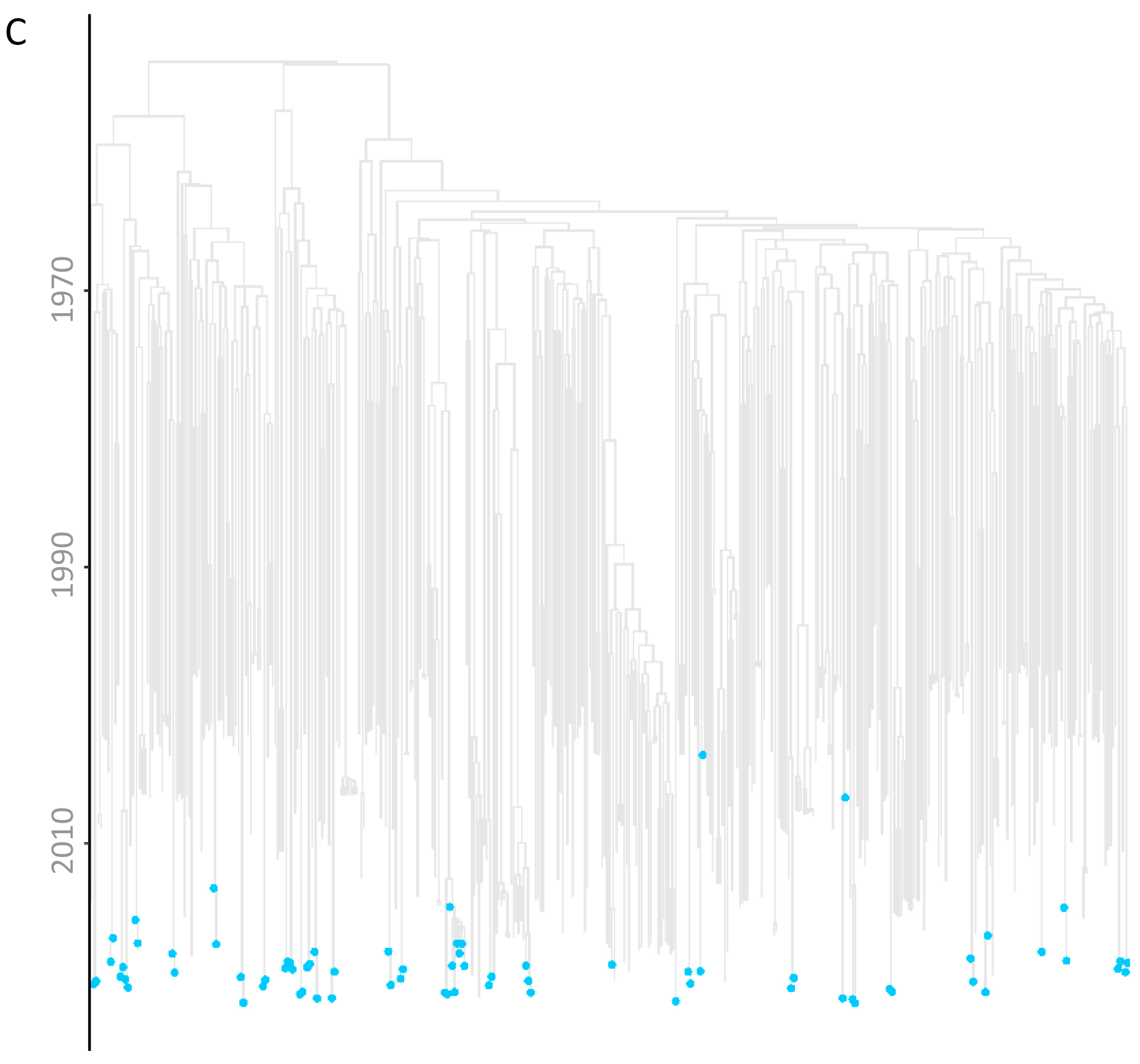 Viruses 16 01449 g002b