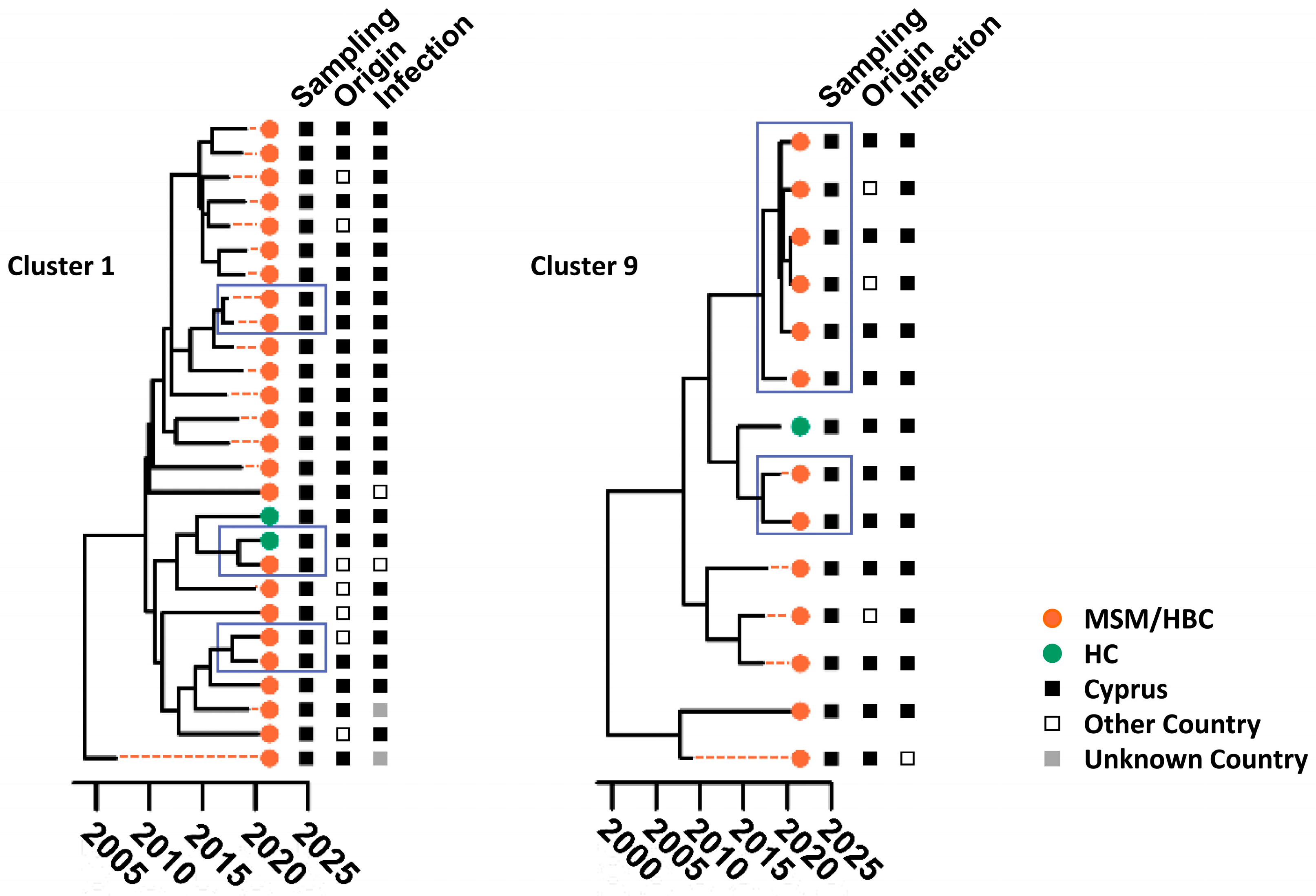 Viruses 16 01449 g005