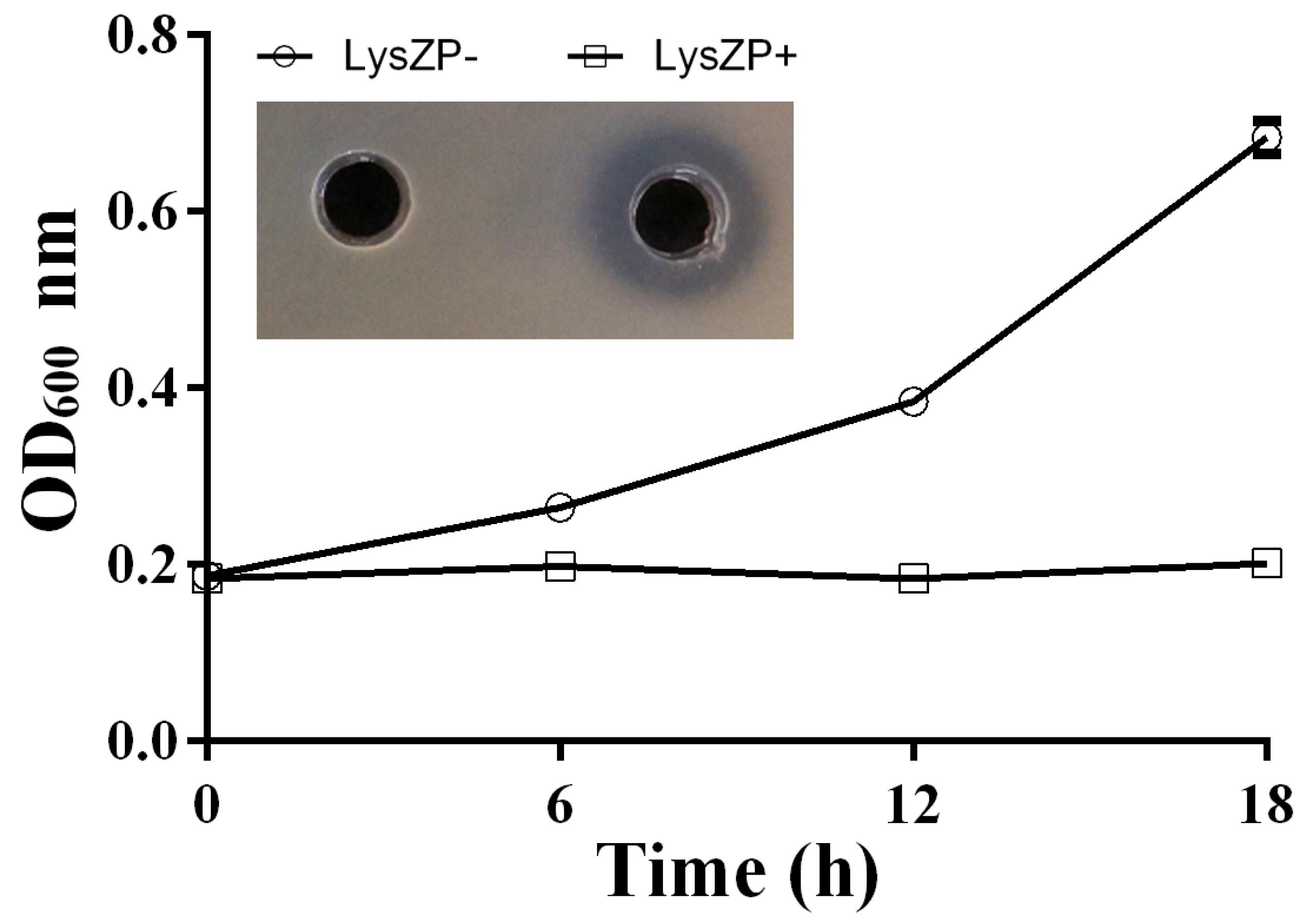 Viruses 16 01450 g007