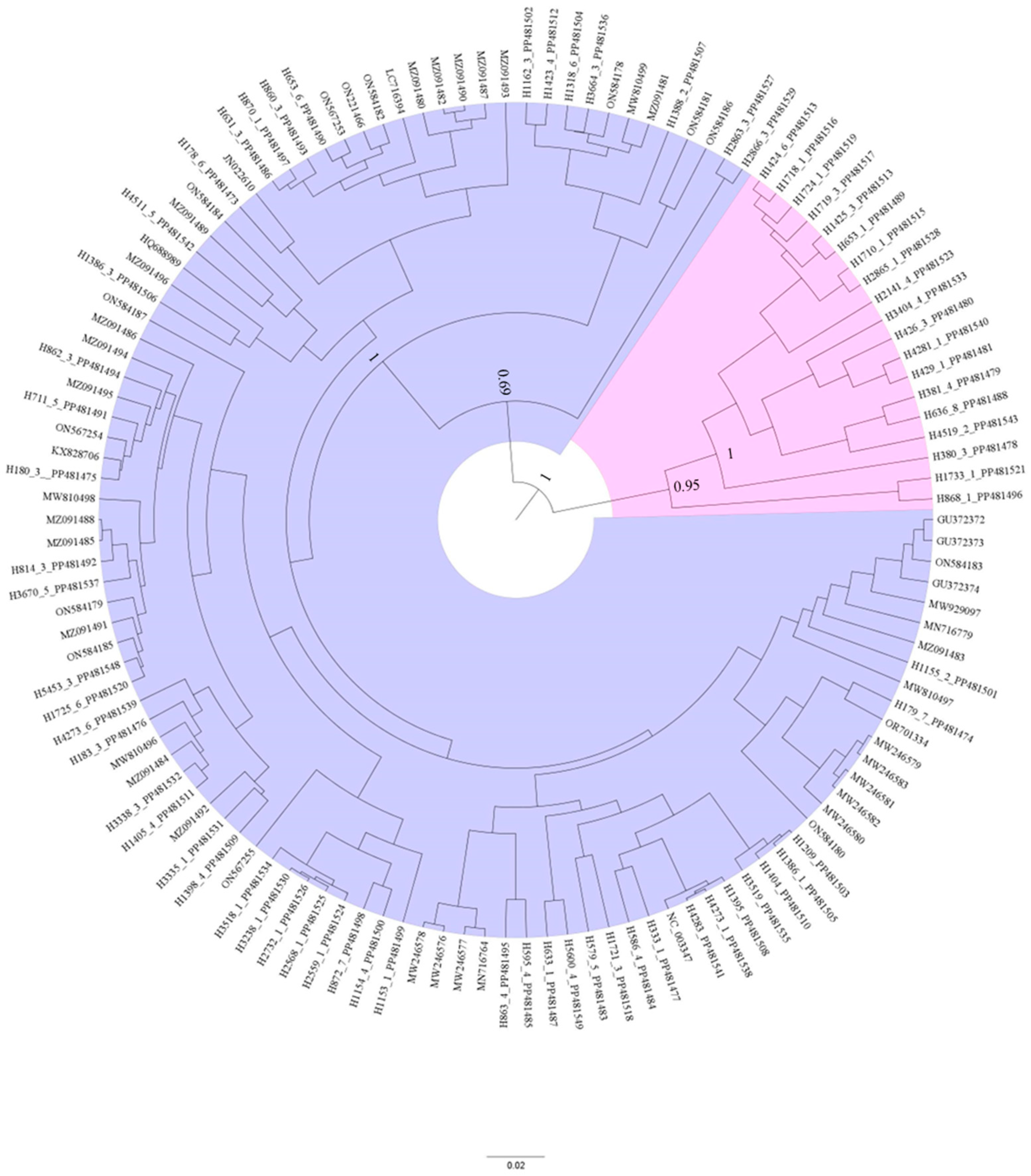 Viruses 16 01457 g001