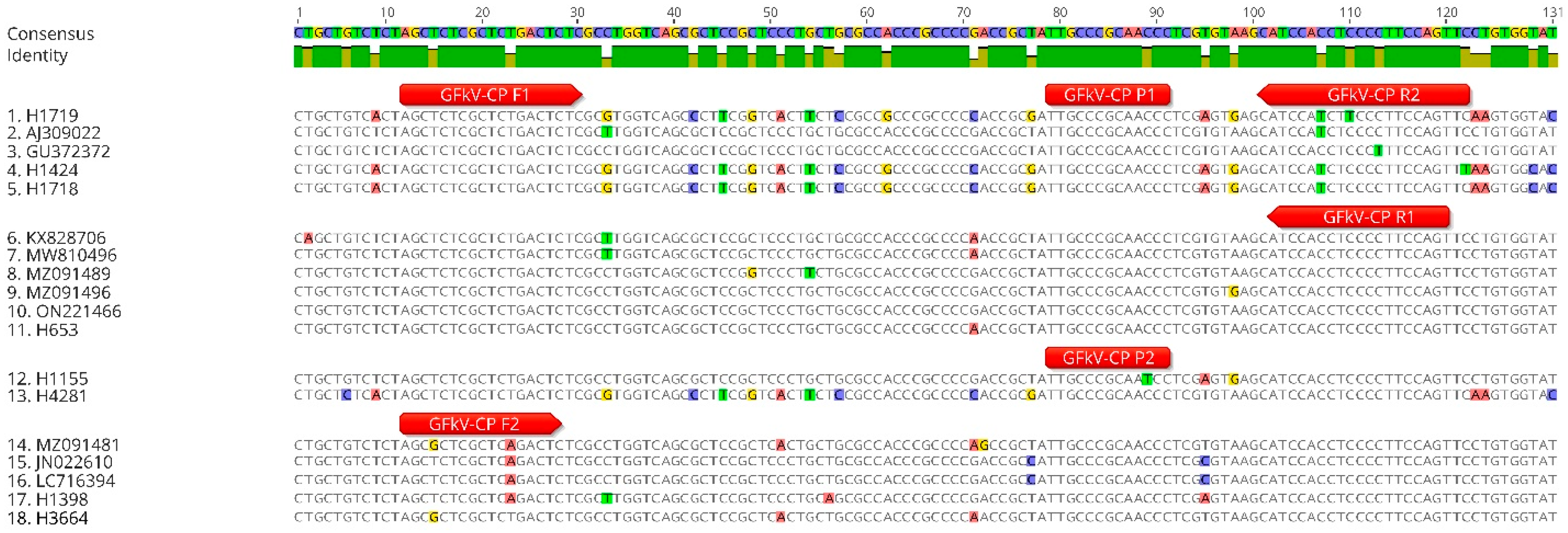 Viruses 16 01457 g002