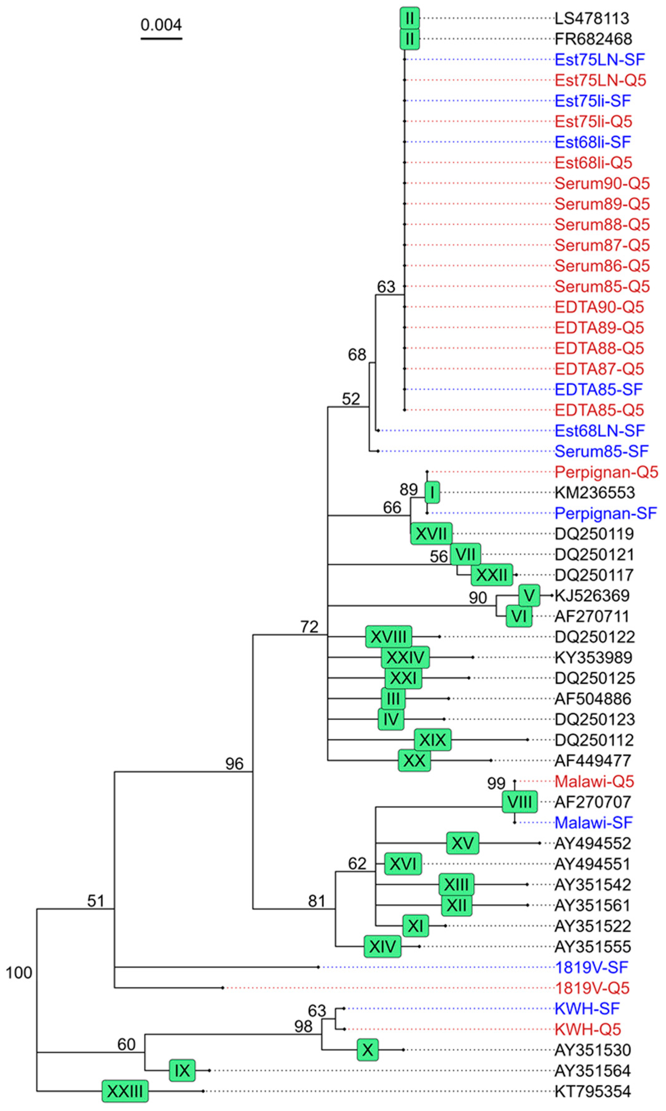 Viruses 16 01460 g003