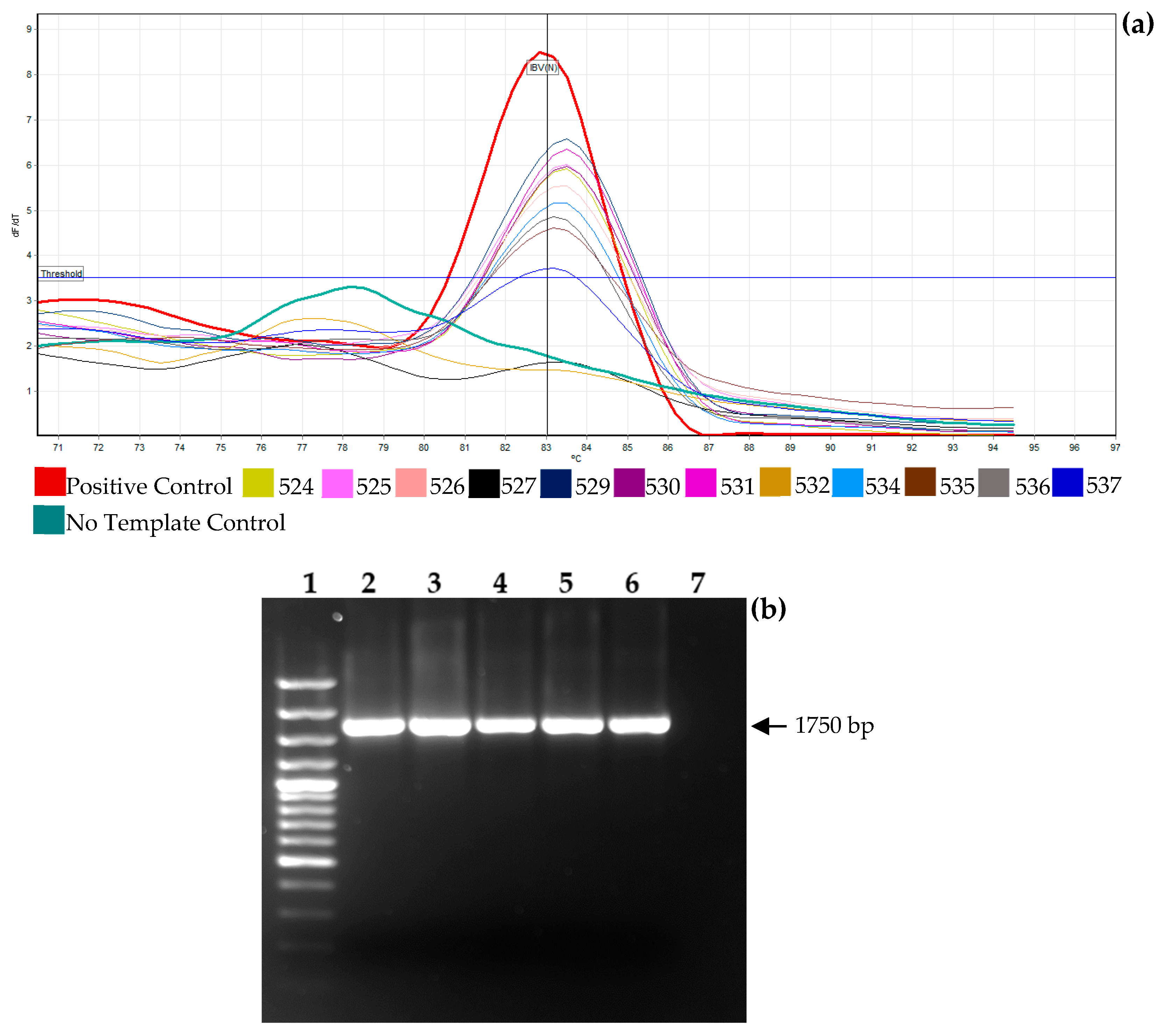 Viruses 16 01463 g001 Viruses 16 01463 g001