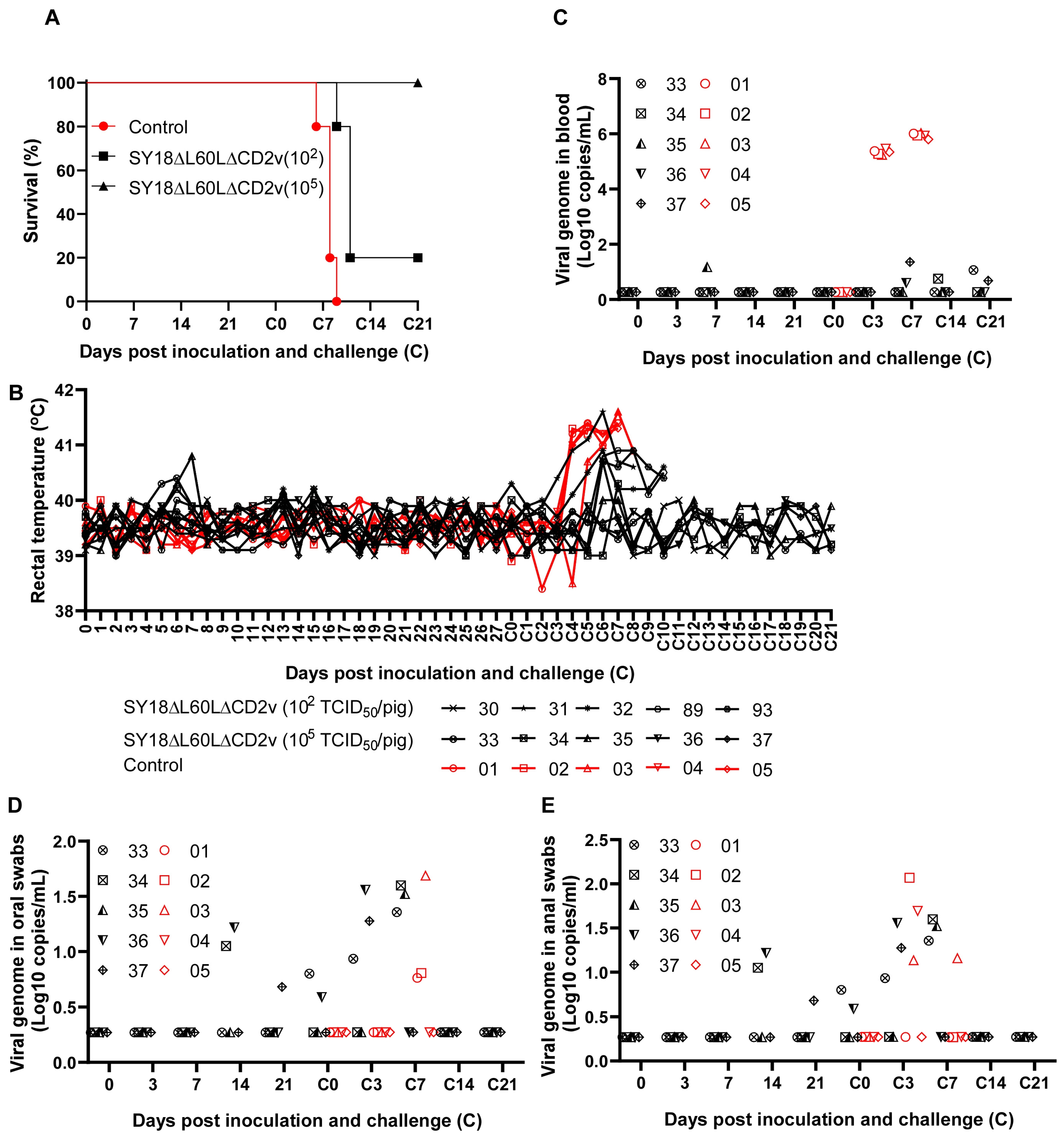 Viruses 16 01464 g003