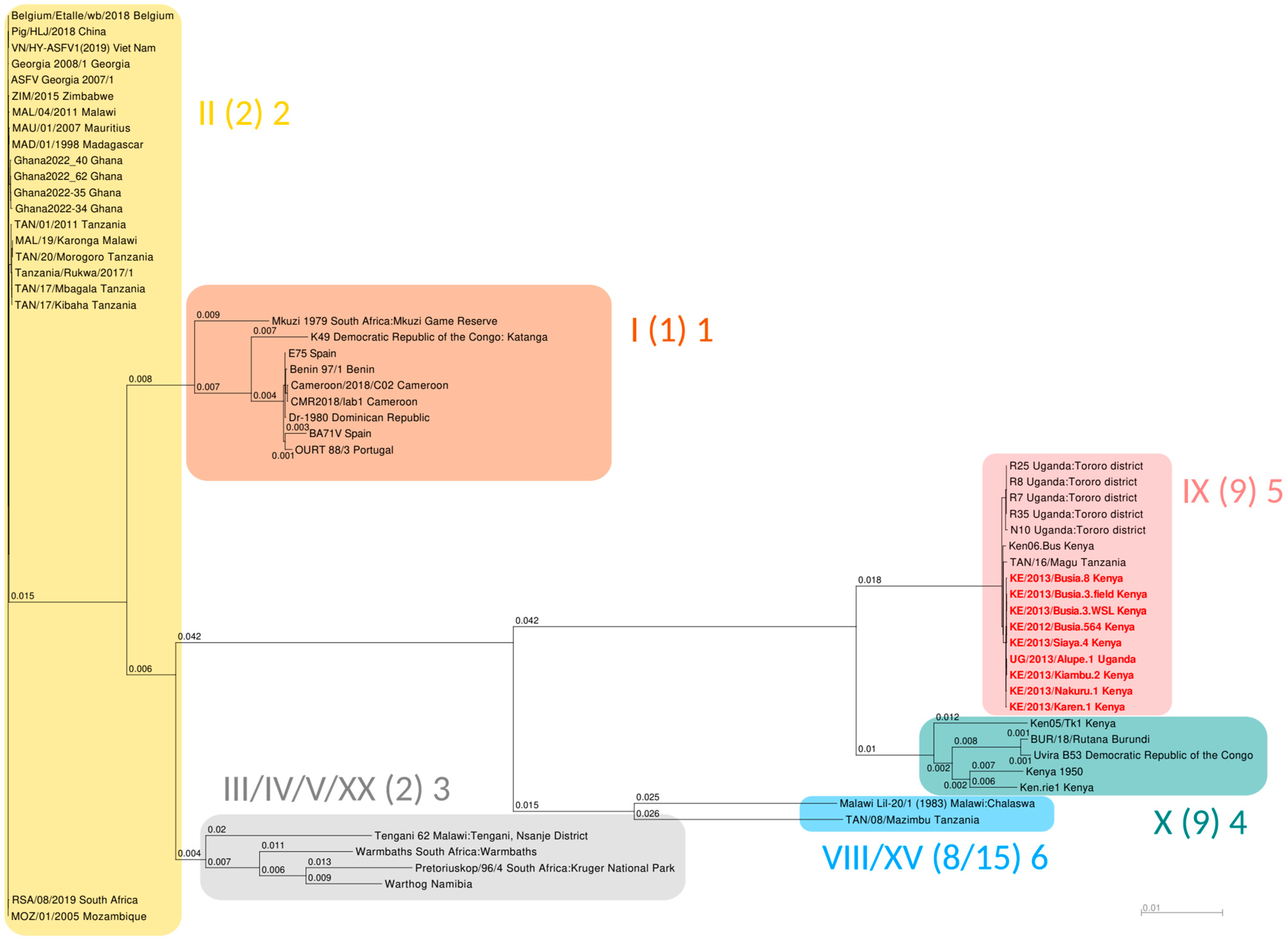 Viruses 16 01466 g002