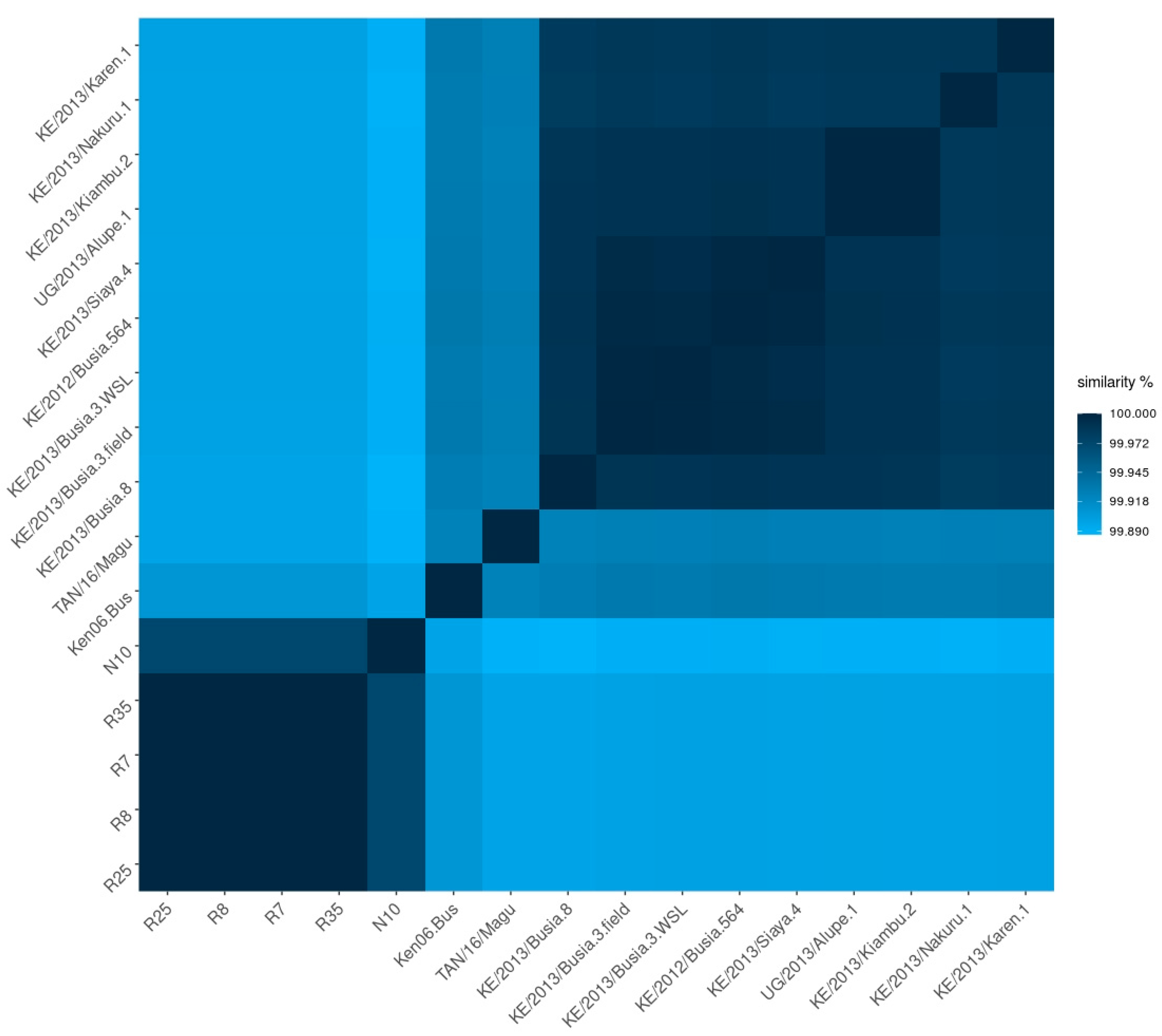 Viruses 16 01466 g003