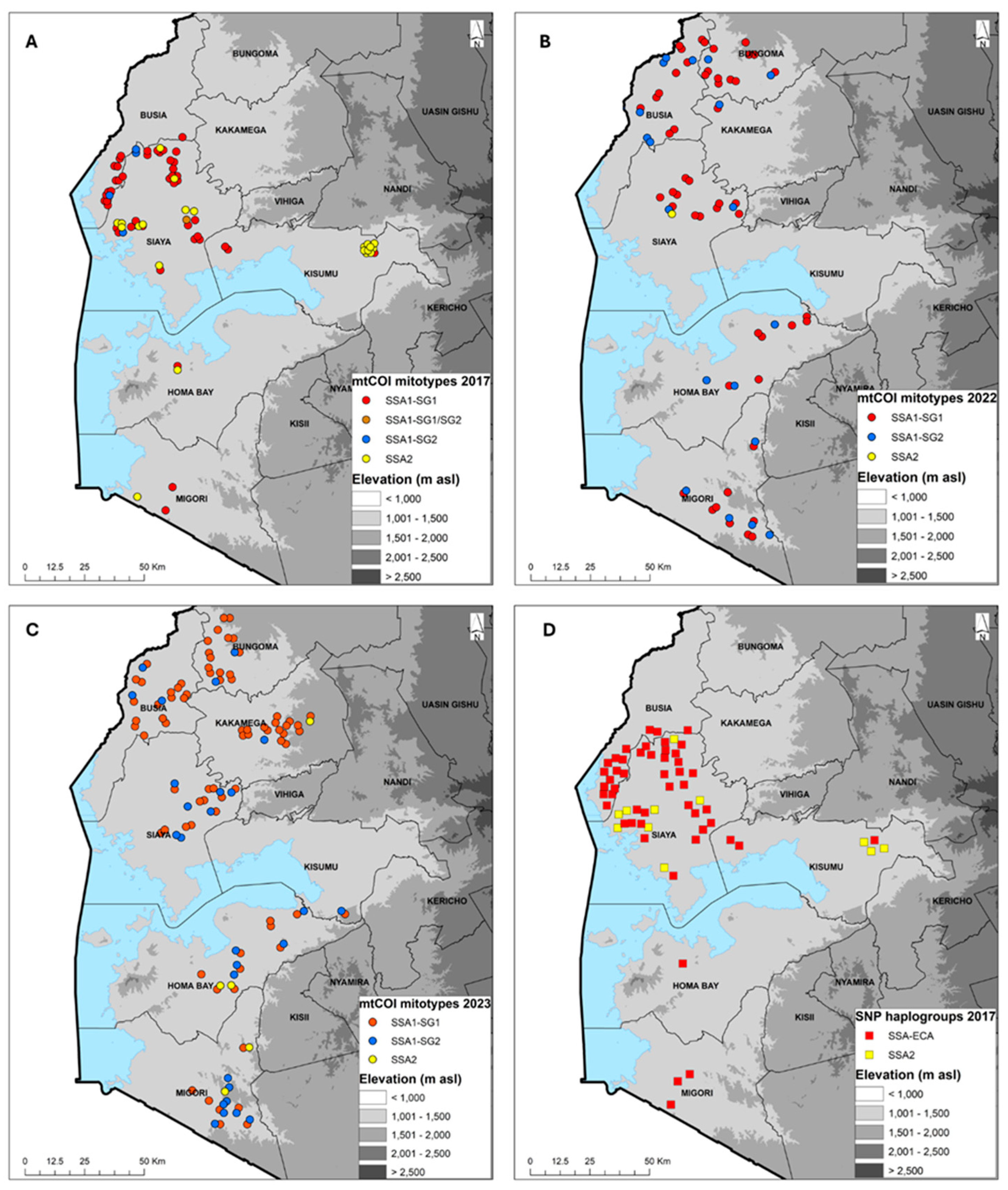 Viruses 16 01469 g003