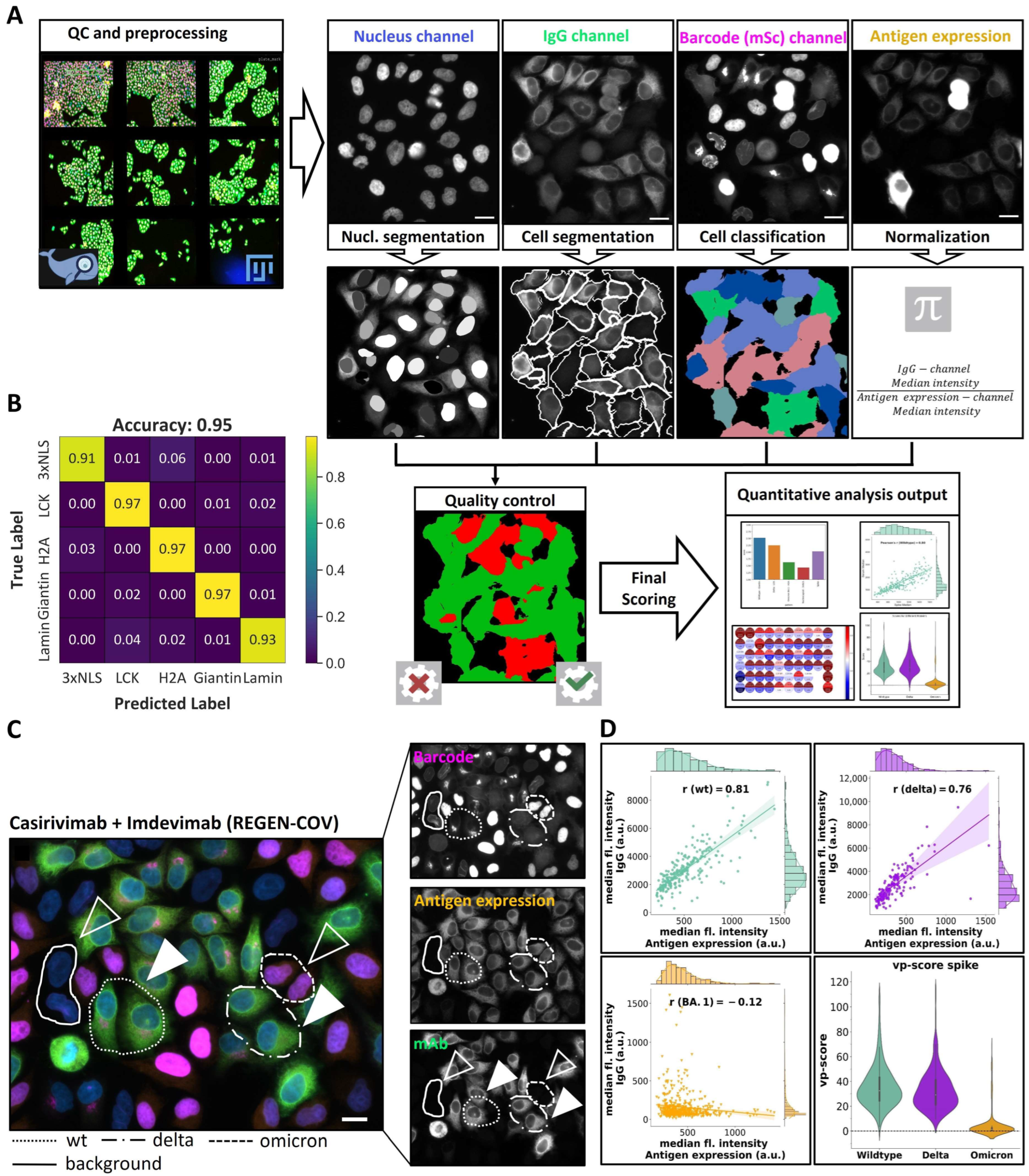 Viruses 16 01473 g002