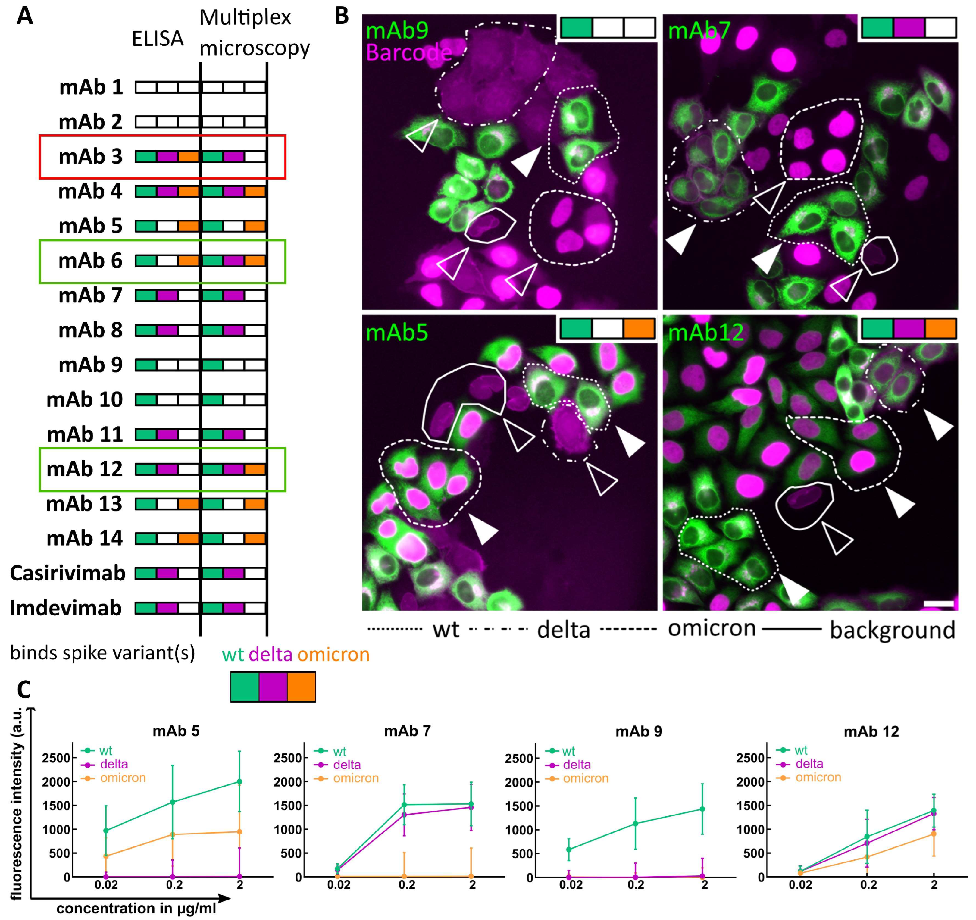 Viruses 16 01473 g003