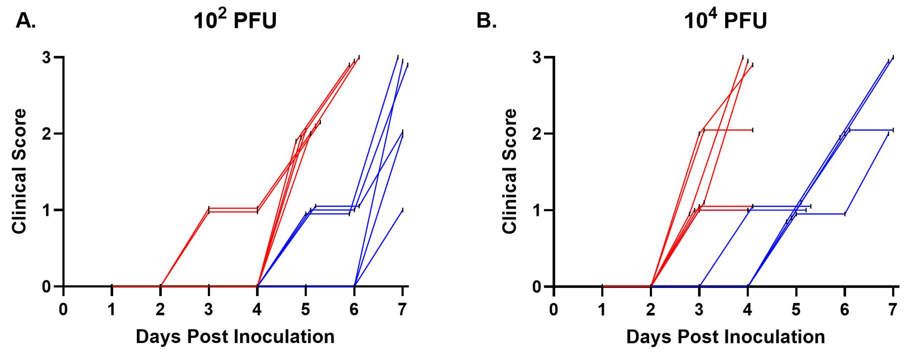 Viruses 16 01474 g001 Viruses 16 01474 g001