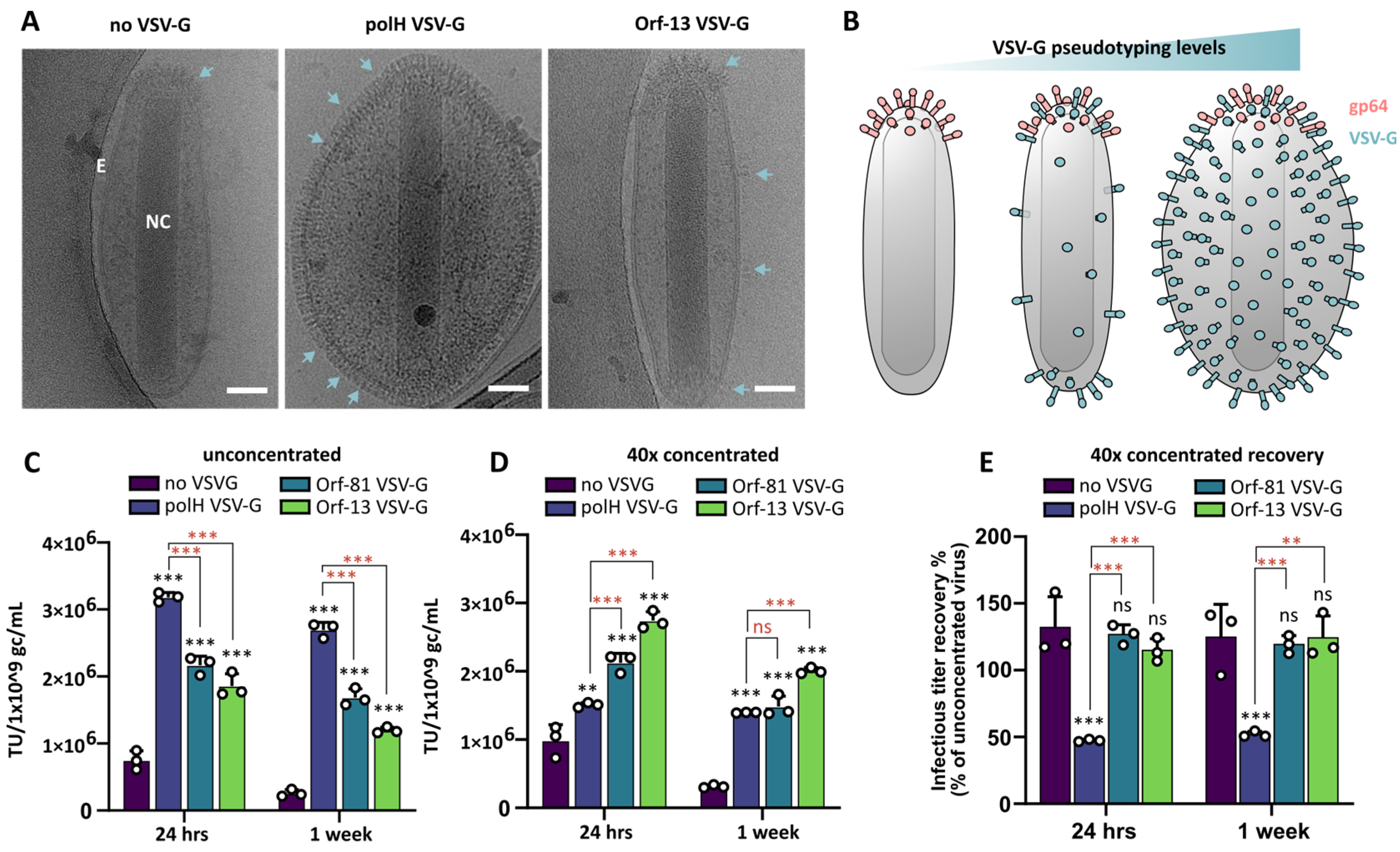 Viruses 16 01475 g003 Viruses 16 01475 g003
