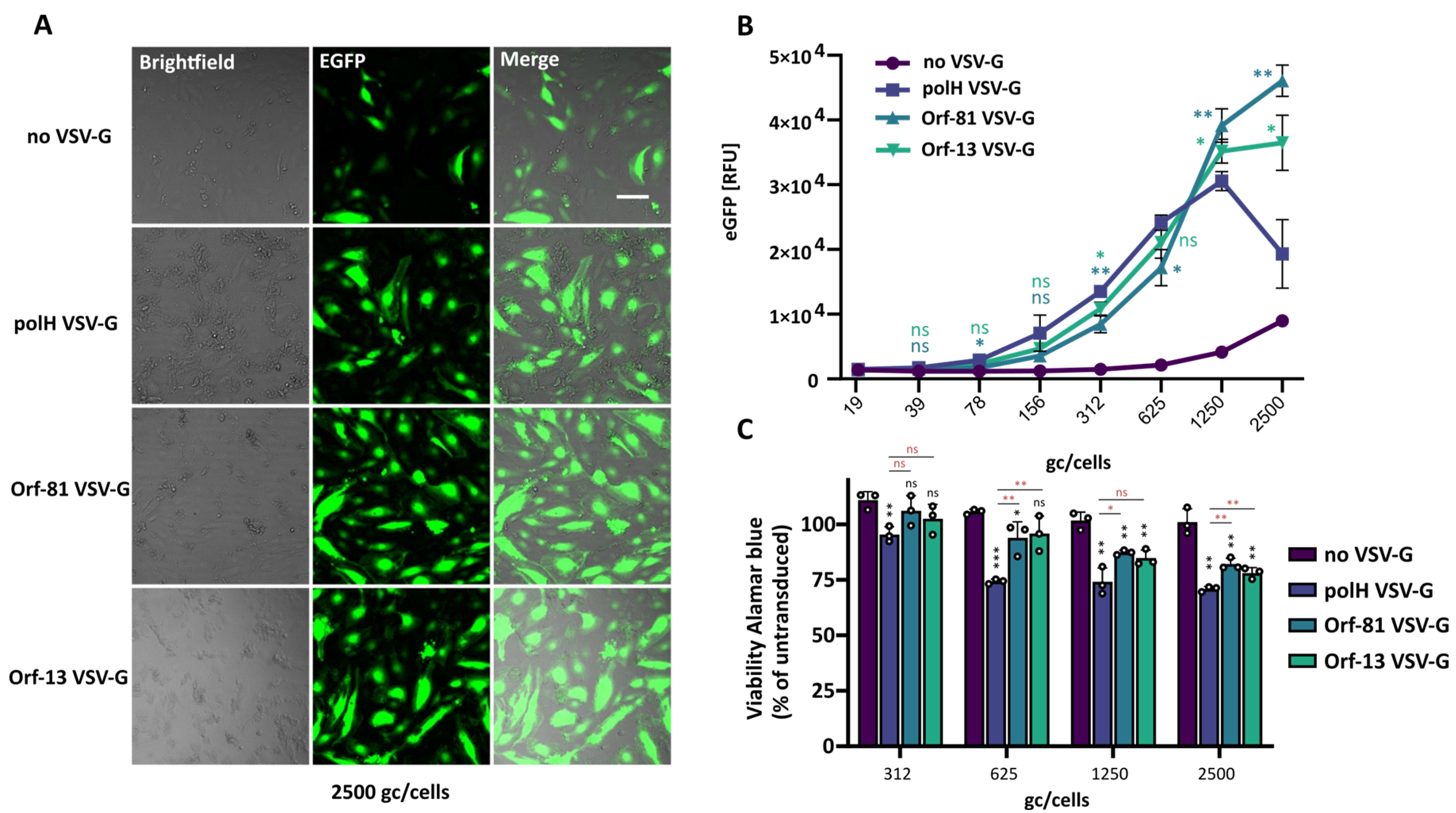 Viruses 16 01475 g005 Viruses 16 01475 g005