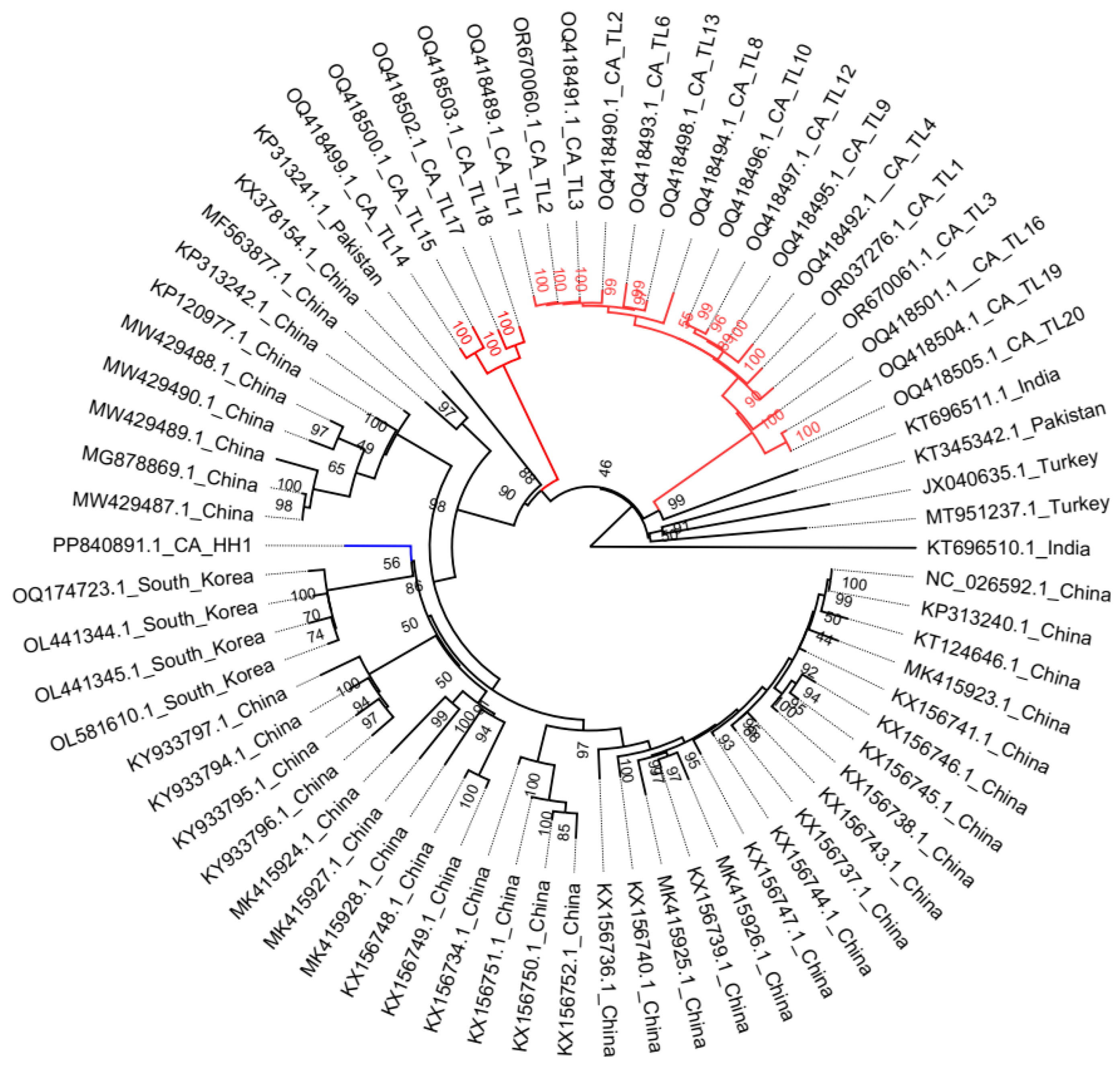 Viruses 16 01479 g003