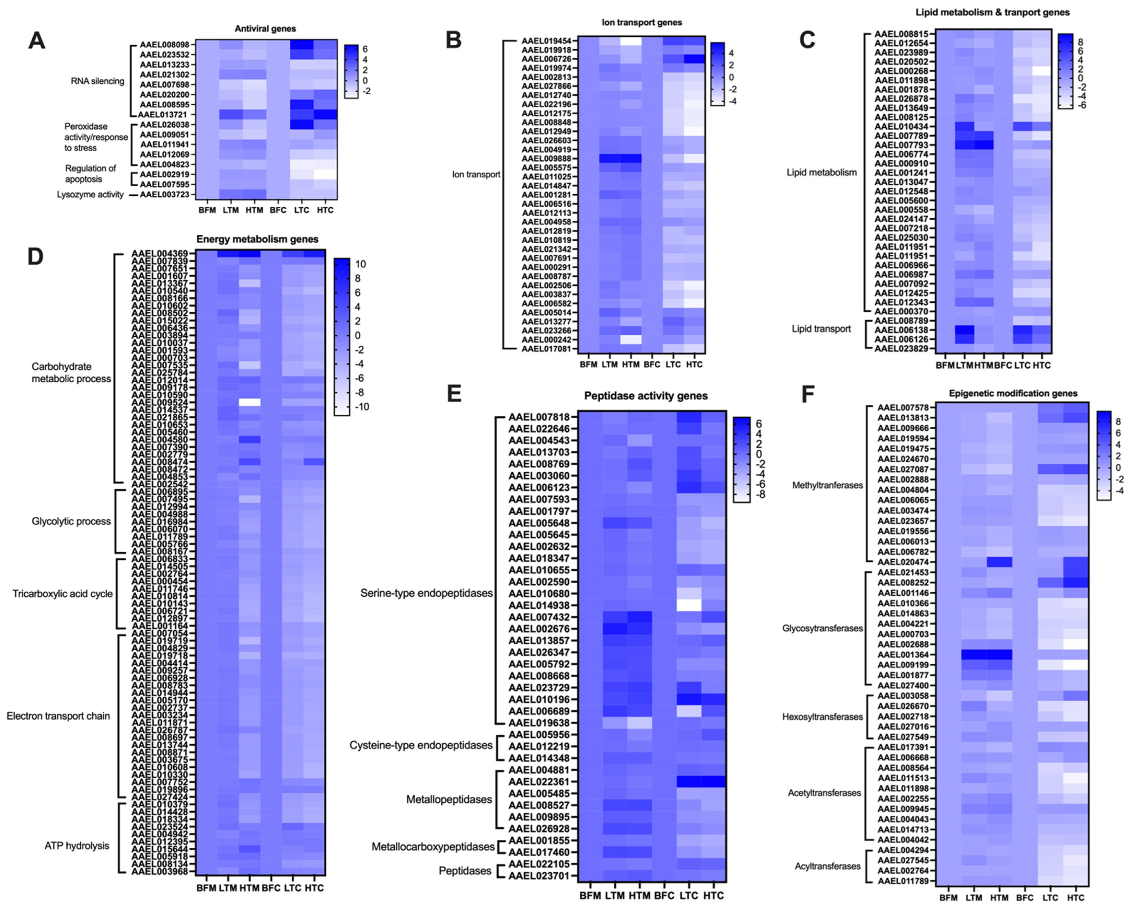 Viruses 16 01487 g005