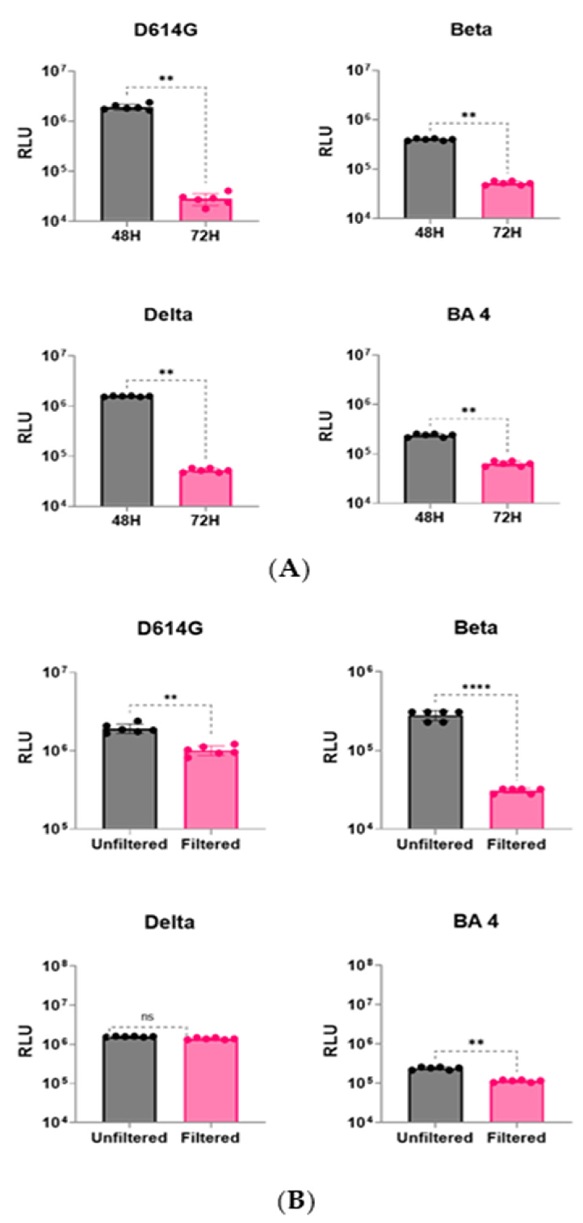Viruses 16 01492 g002