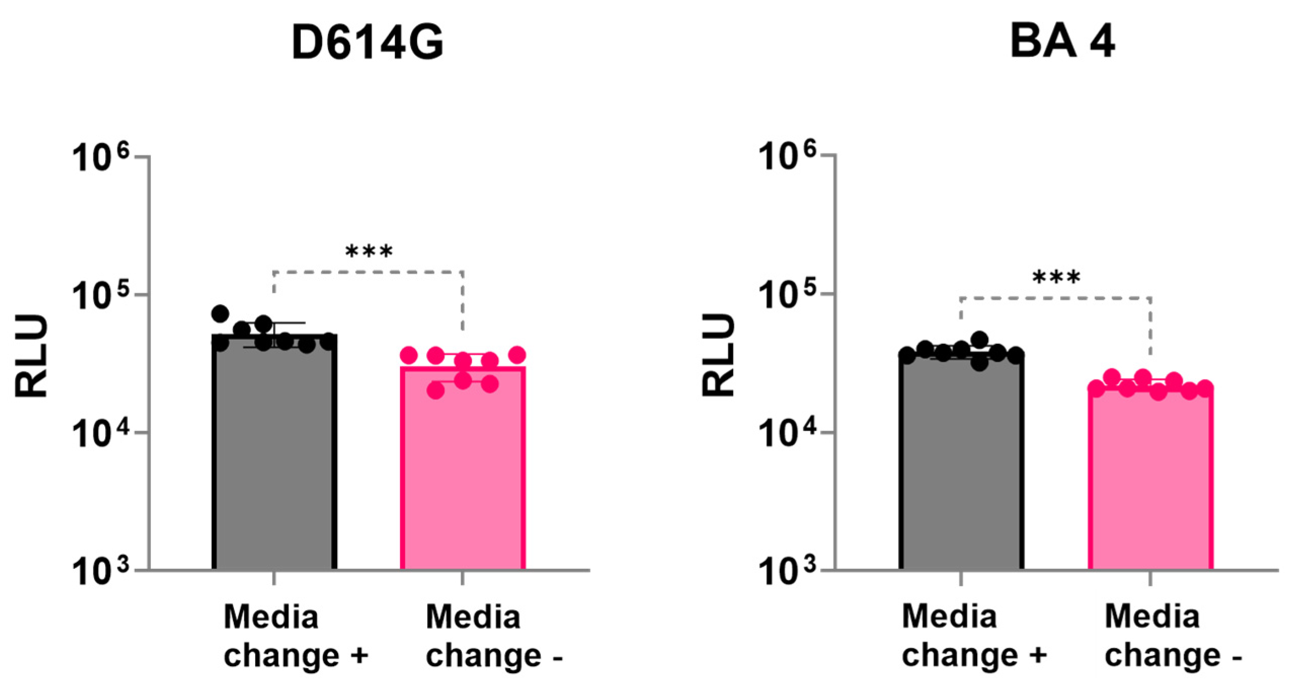 Viruses 16 01492 g004