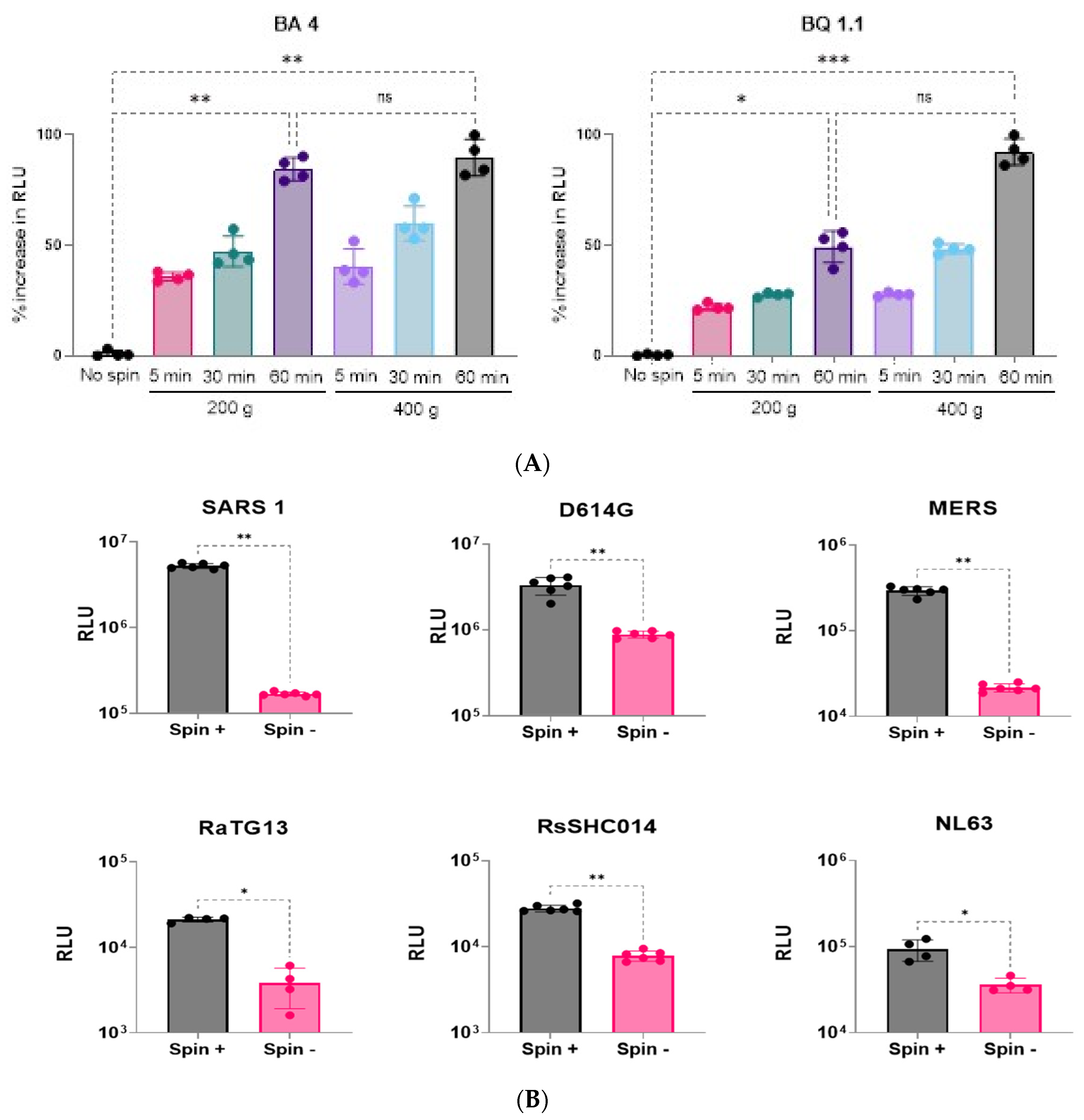 Viruses 16 01492 g005