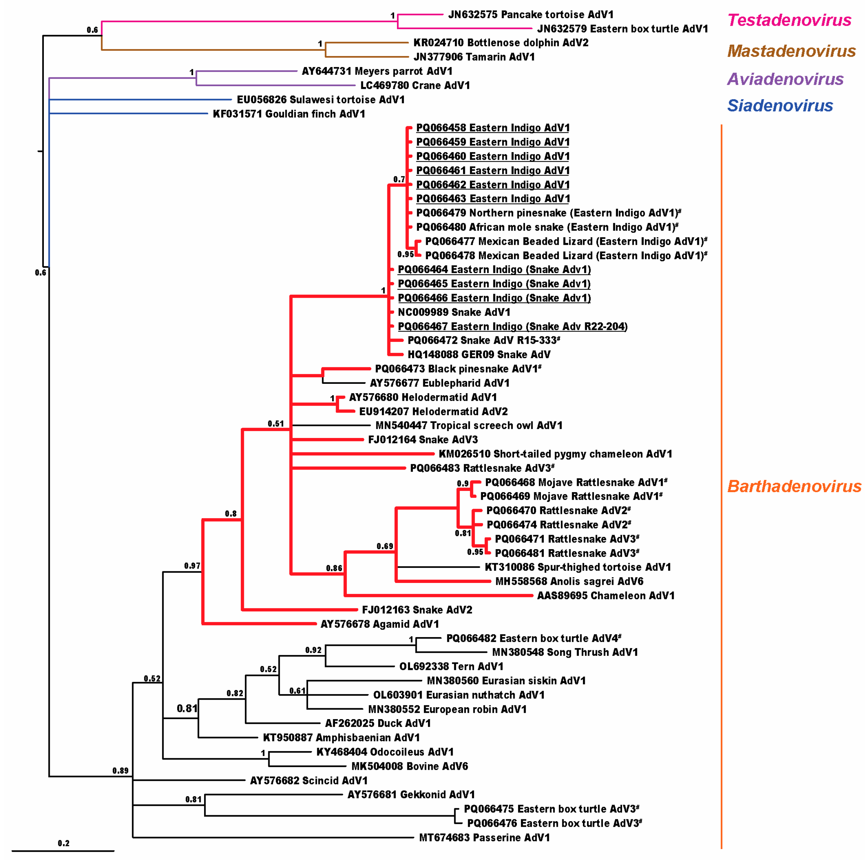 Viruses 16 01496 g001