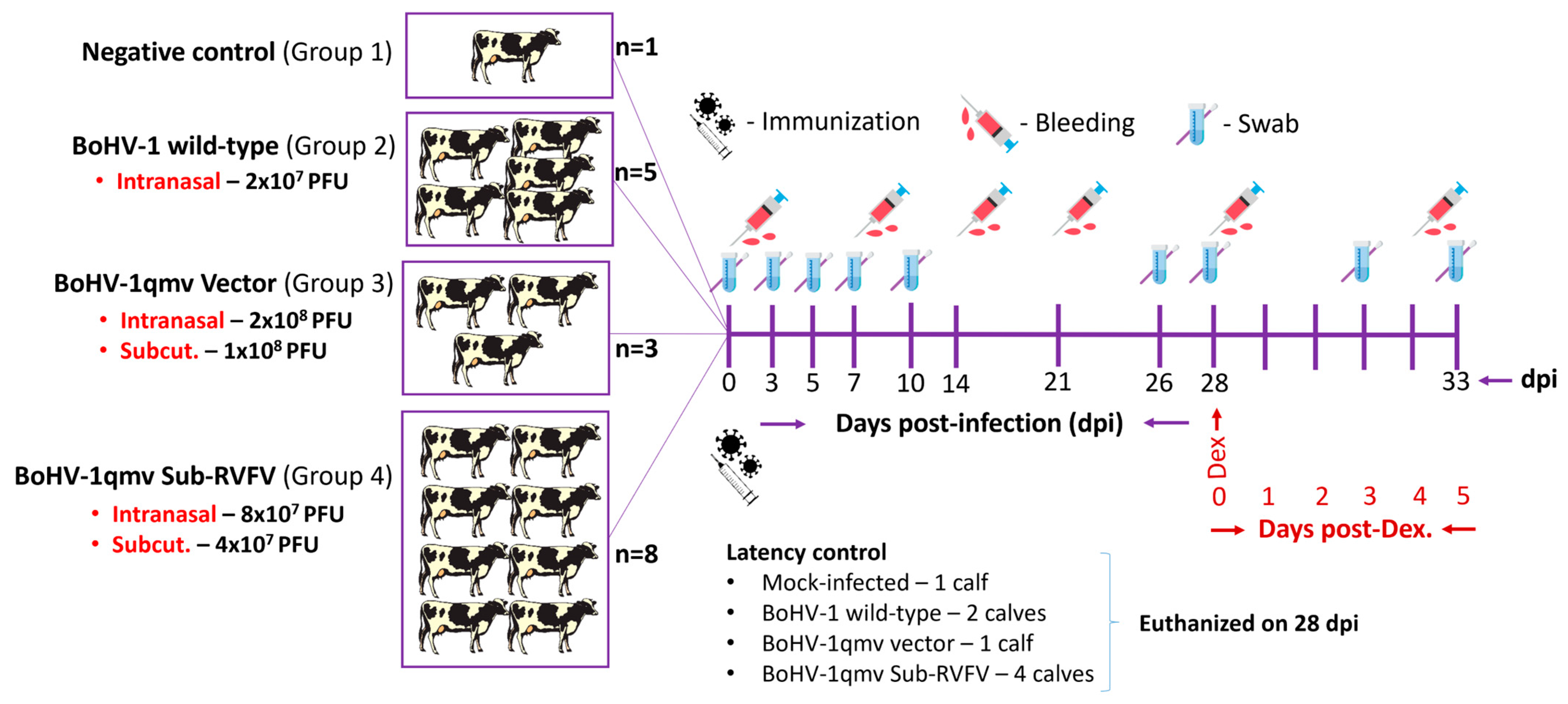 Viruses 16 01497 g001 Viruses 16 01497 g001