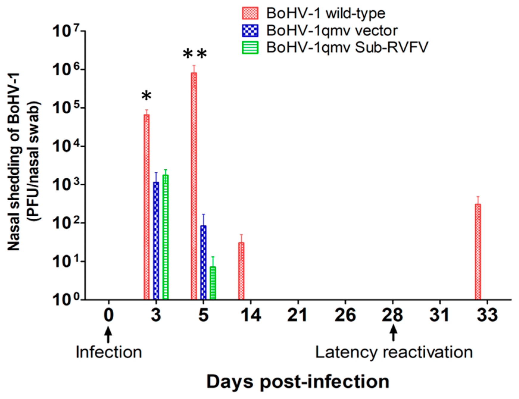 Viruses 16 01497 g003 Viruses 16 01497 g003