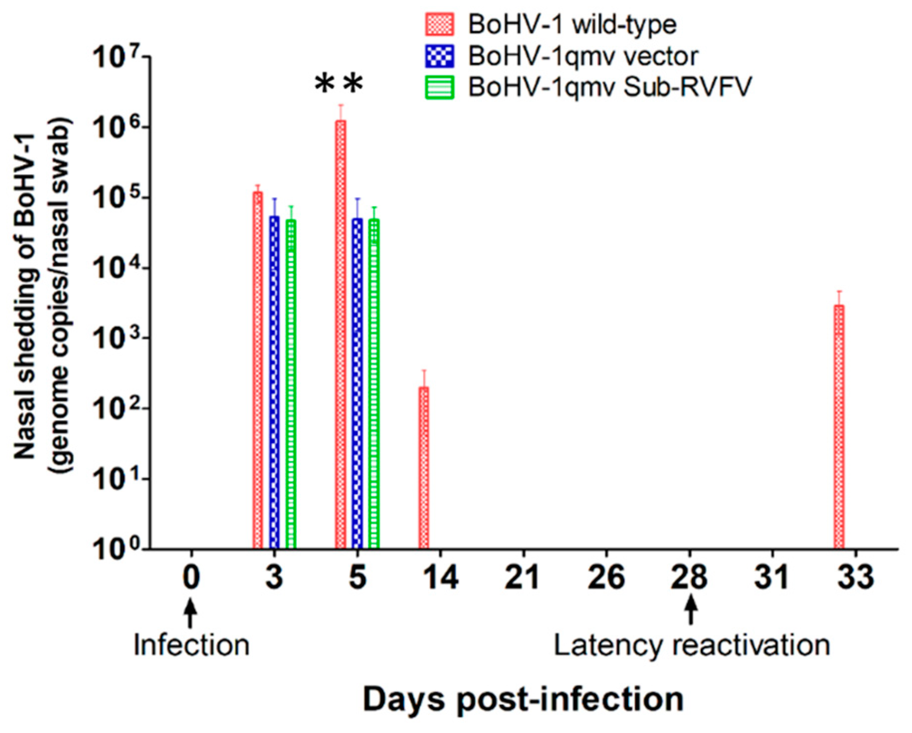 Viruses 16 01497 g004 Viruses 16 01497 g004