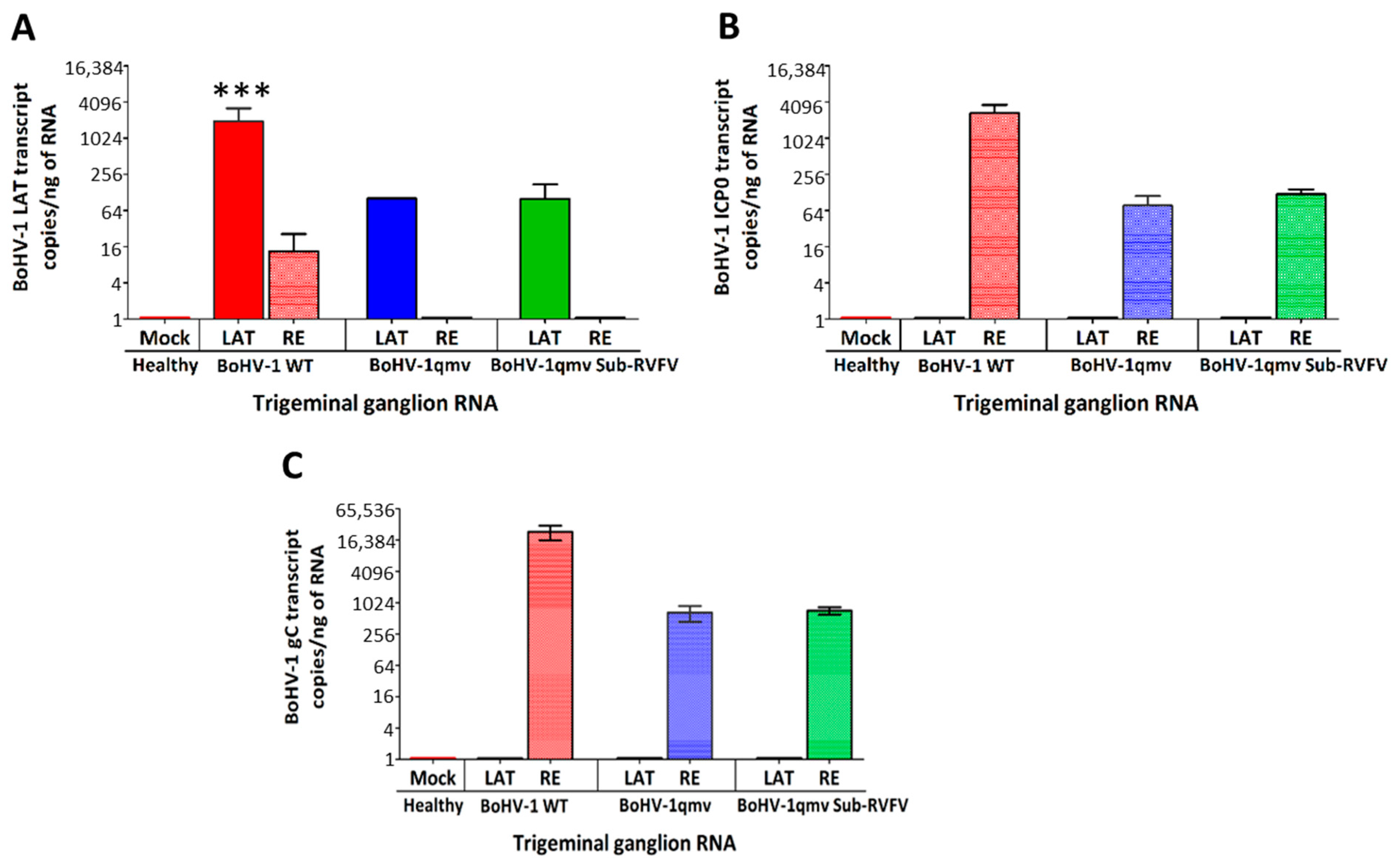 Viruses 16 01497 g006 Viruses 16 01497 g006