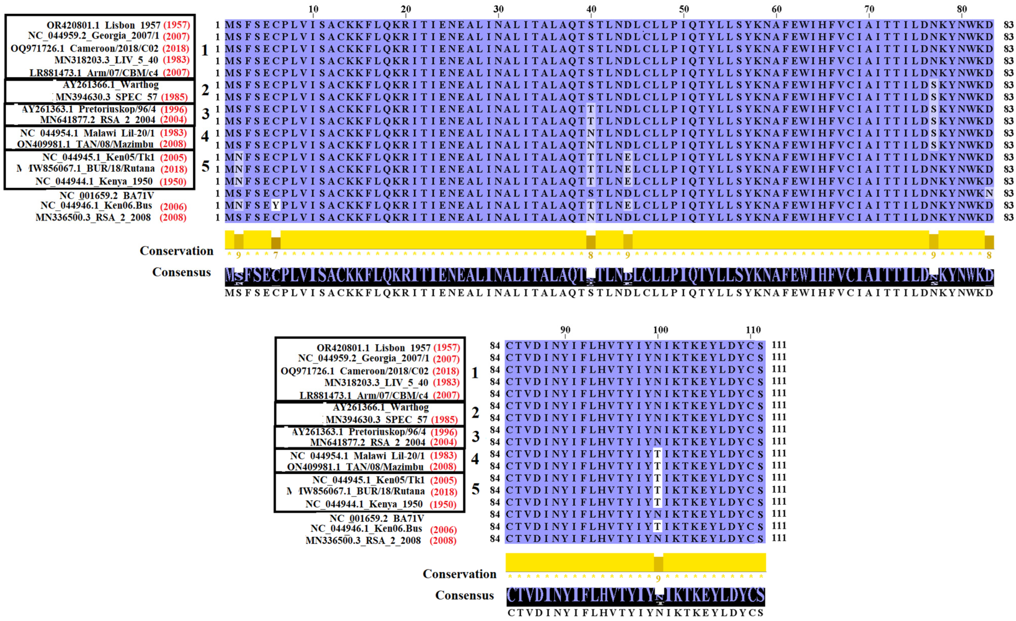 Viruses 16 01502 g002