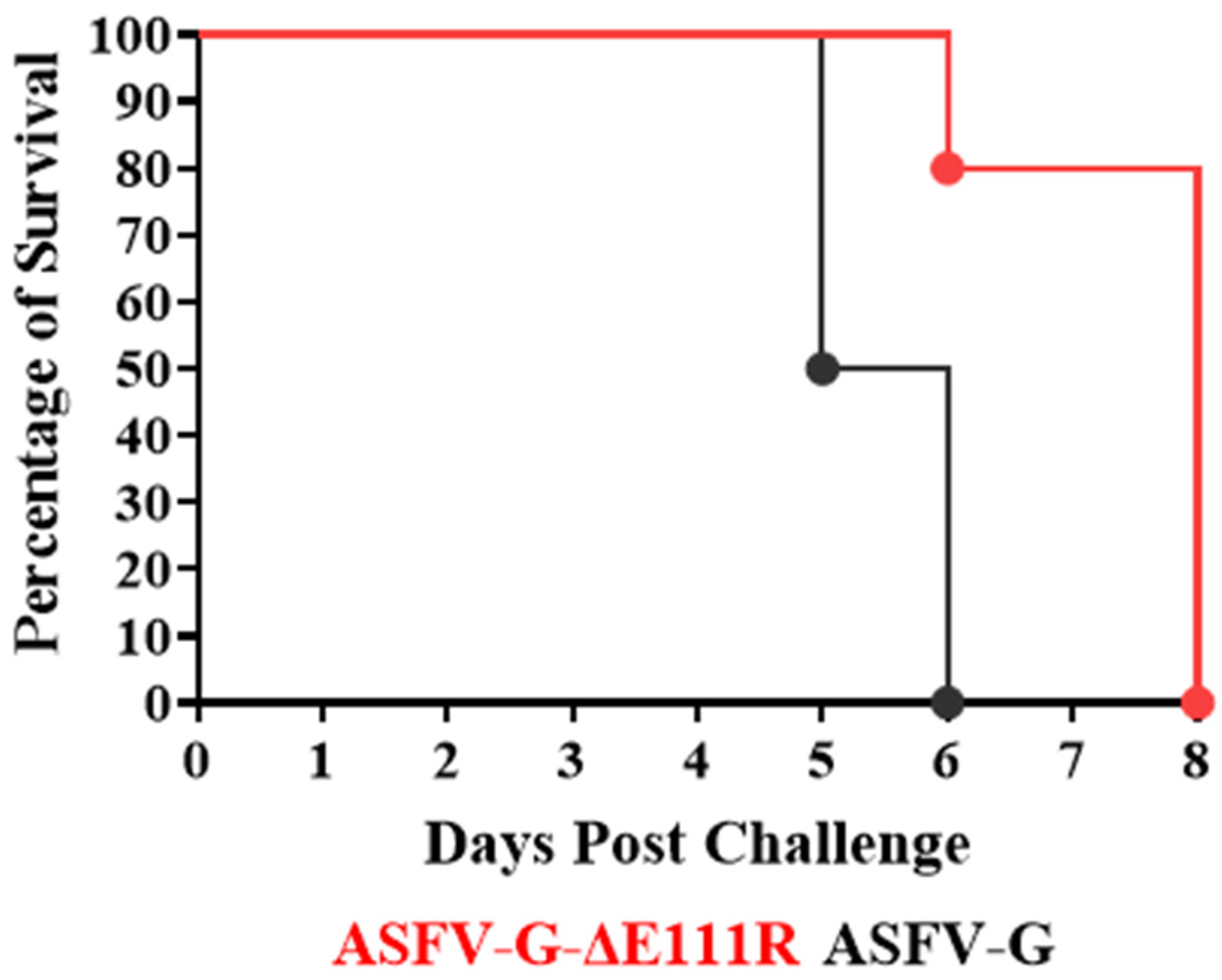 Viruses 16 01502 g008