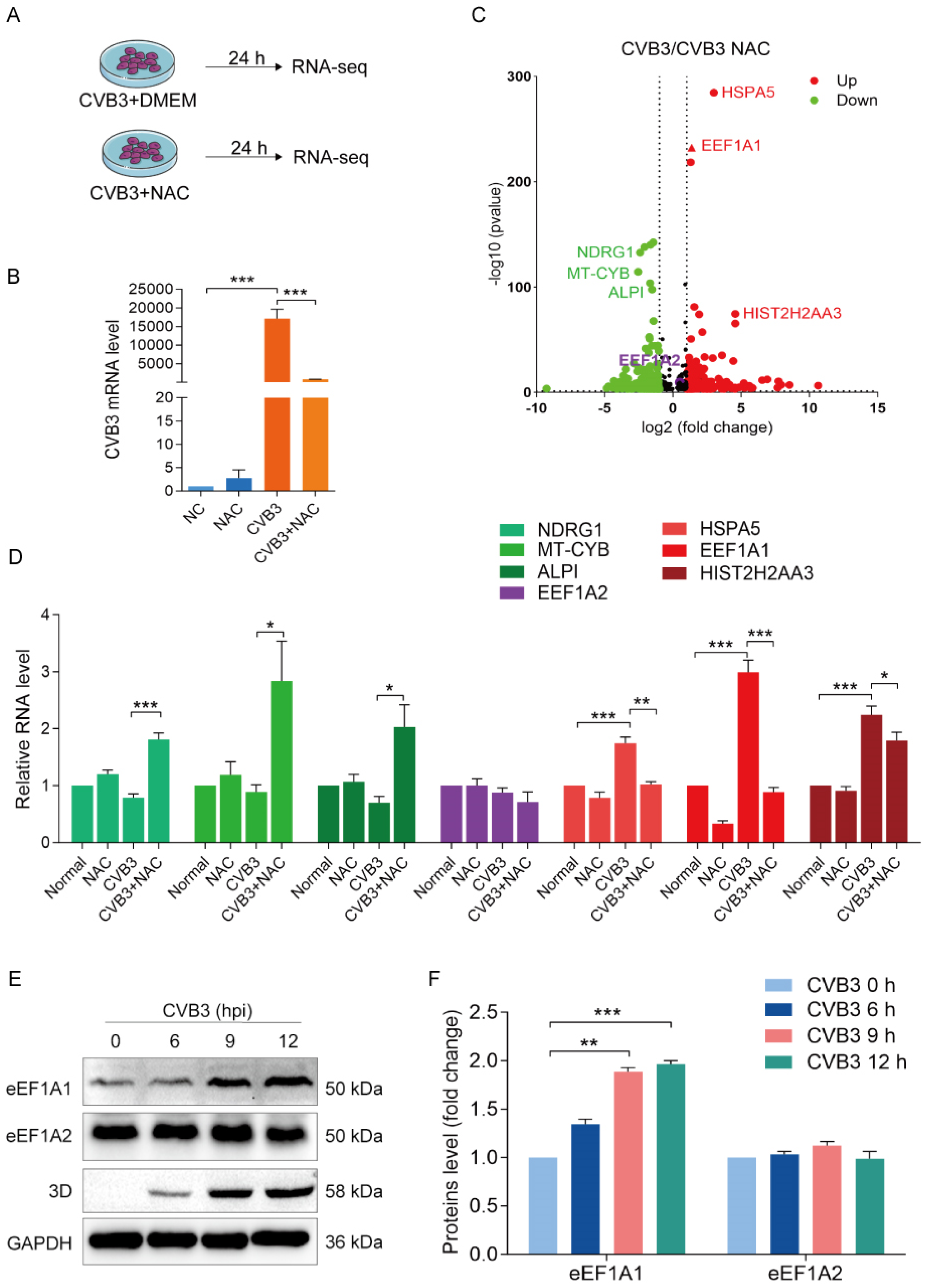 Viruses 16 01503 g002