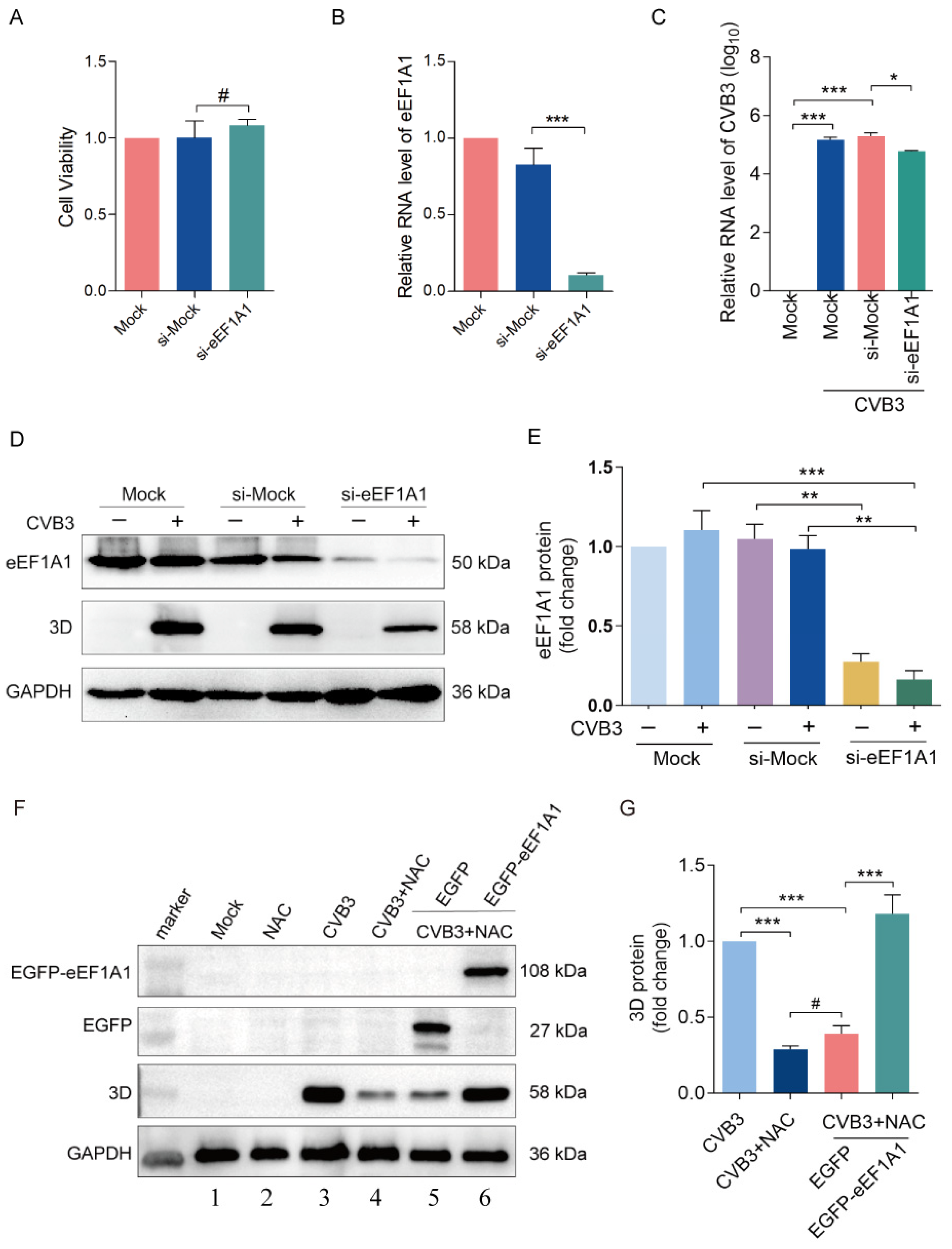 Viruses 16 01503 g003