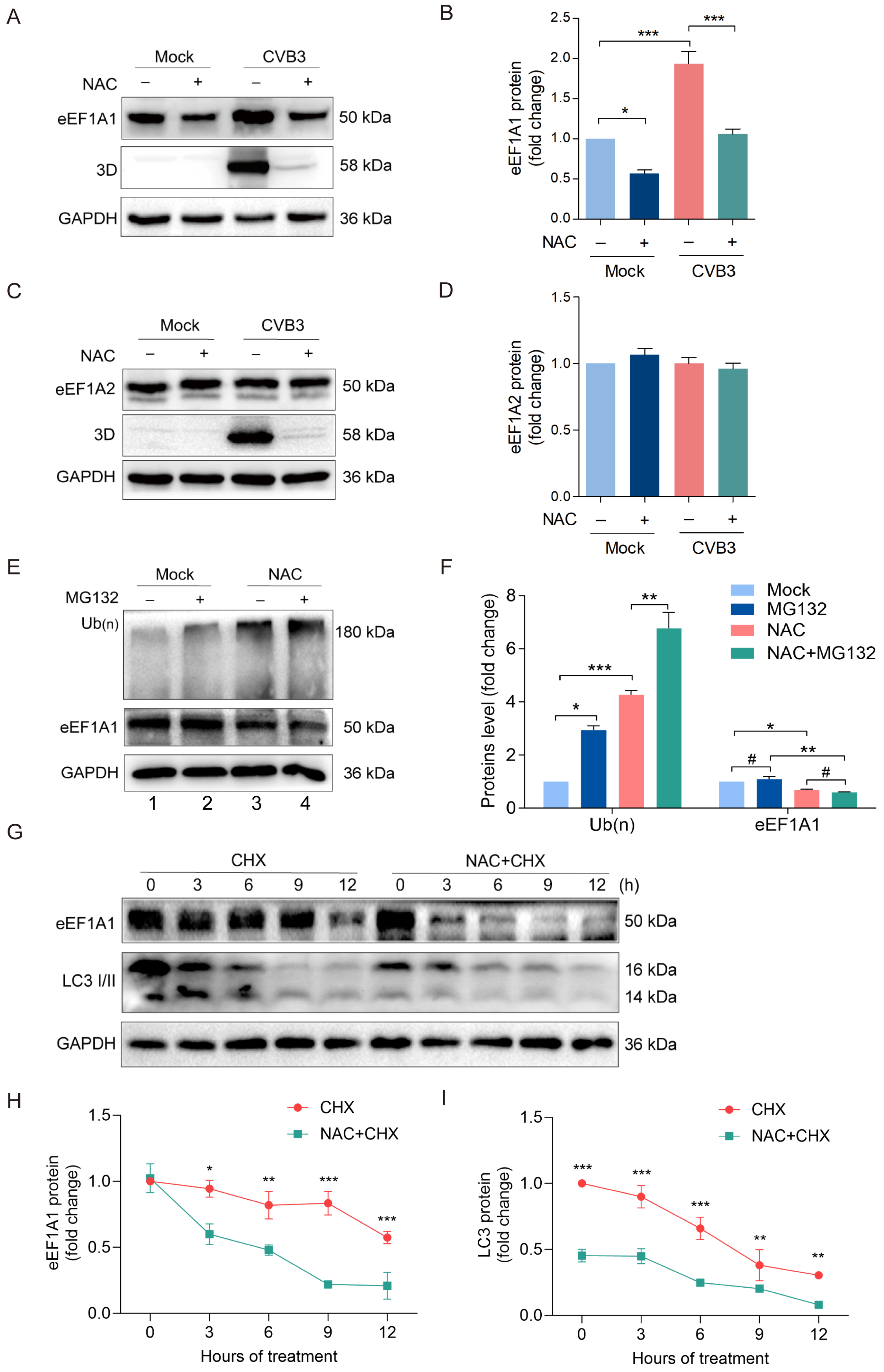 Viruses 16 01503 g005