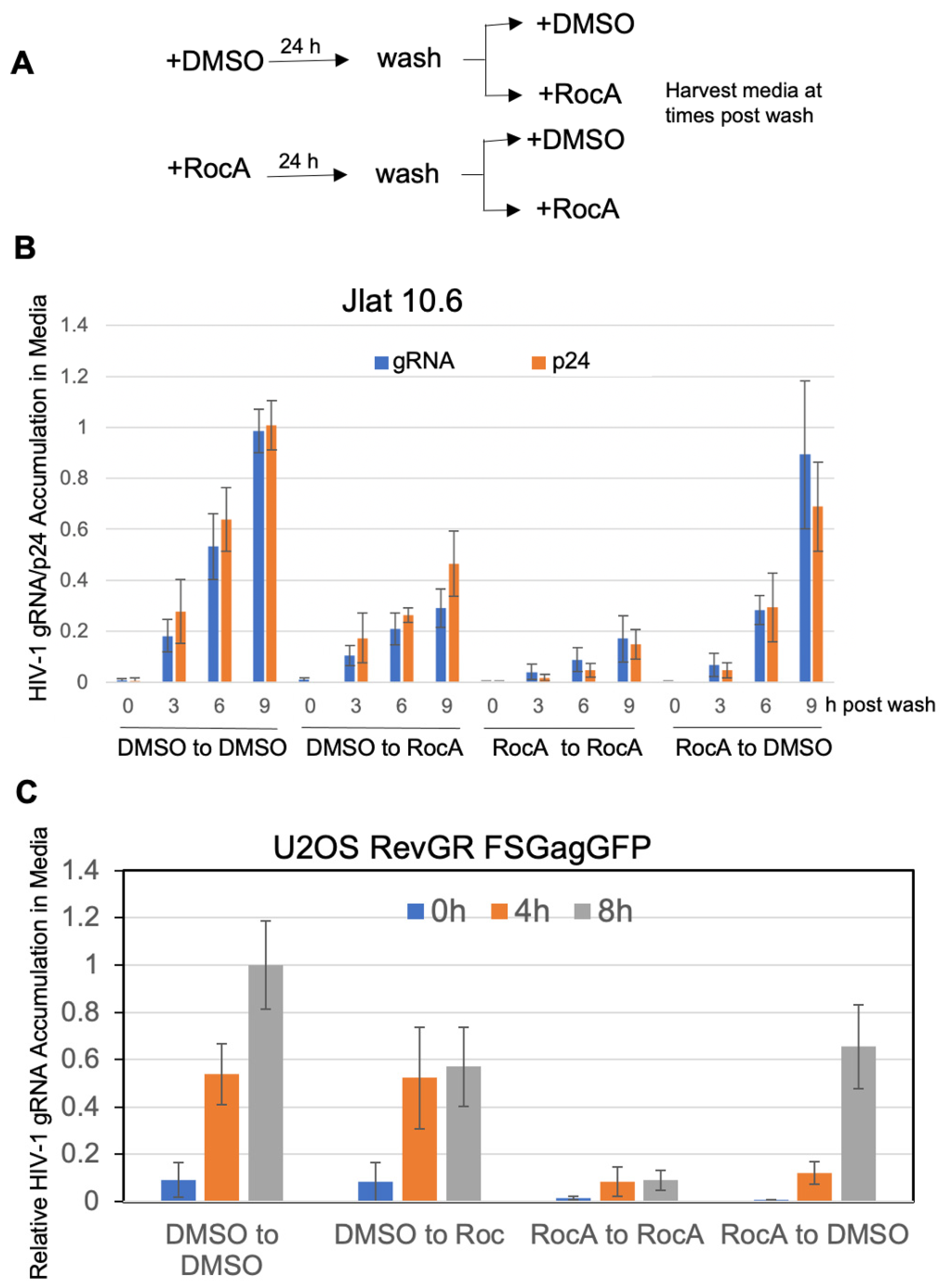 Viruses 16 01506 g004