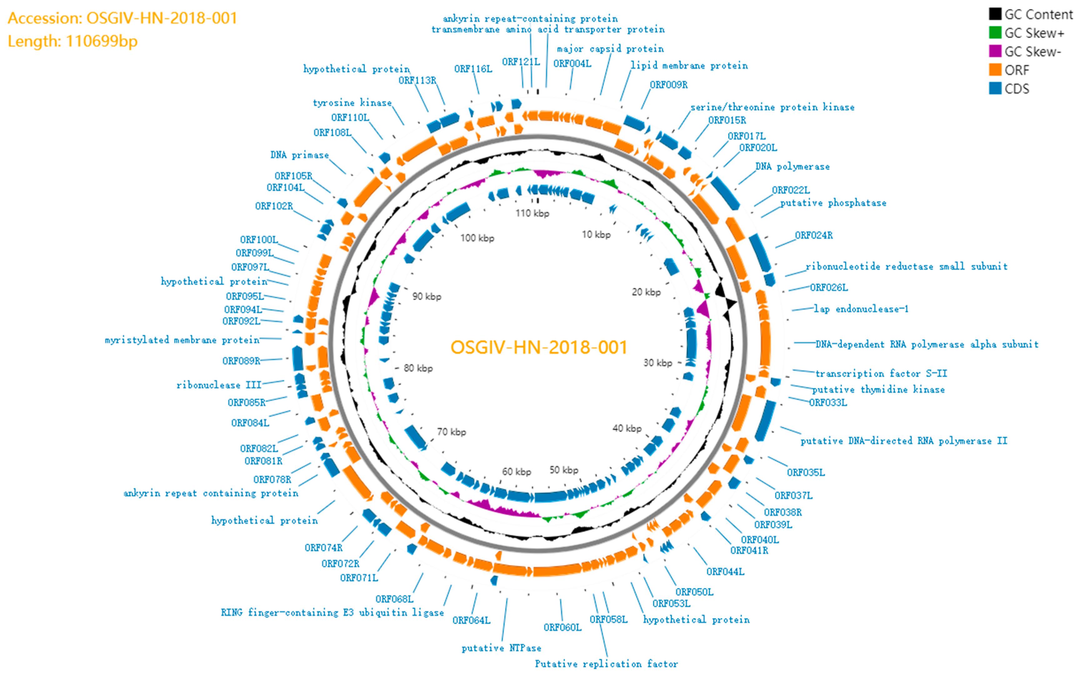 Viruses 16 01513 g003