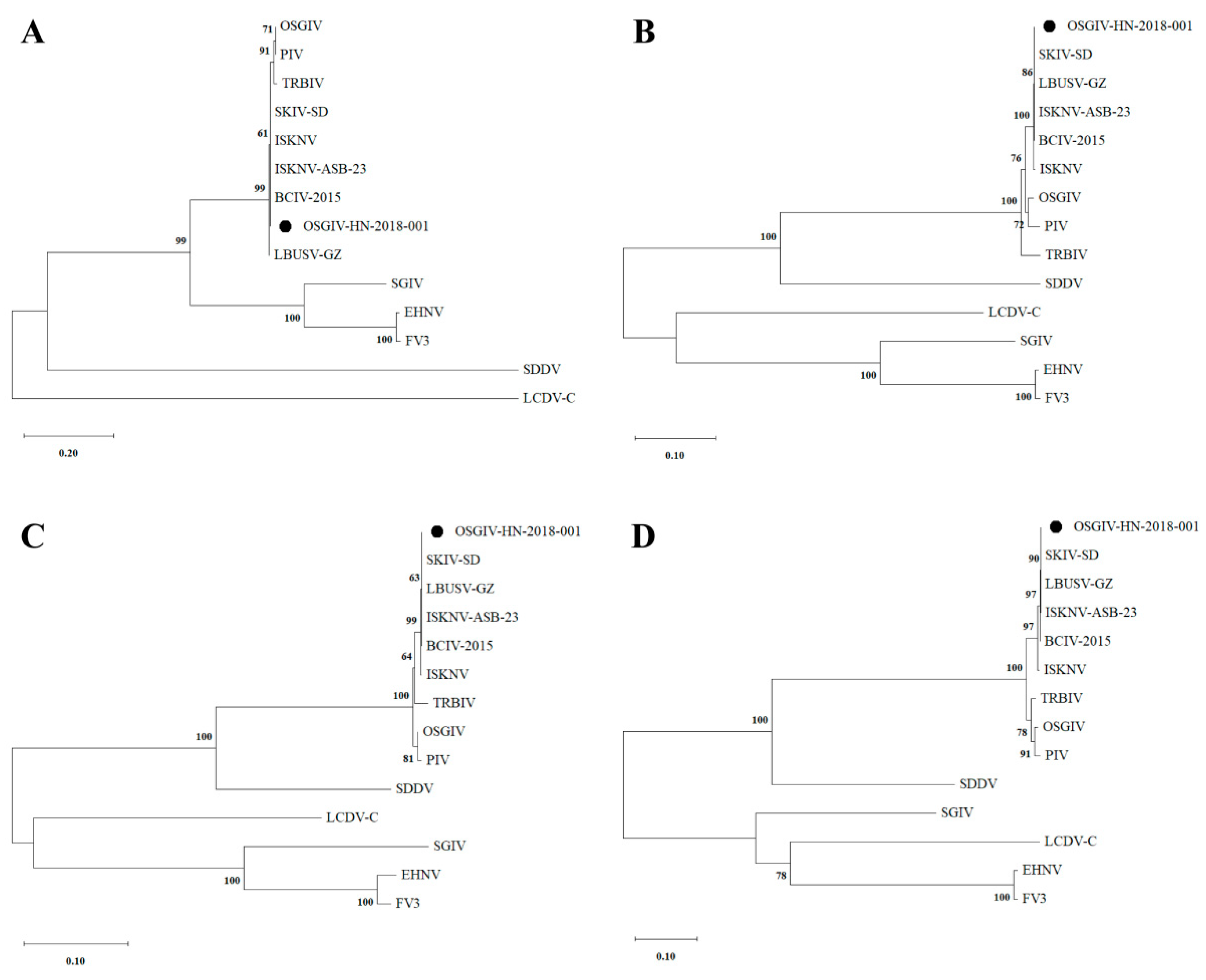 Viruses 16 01513 g004