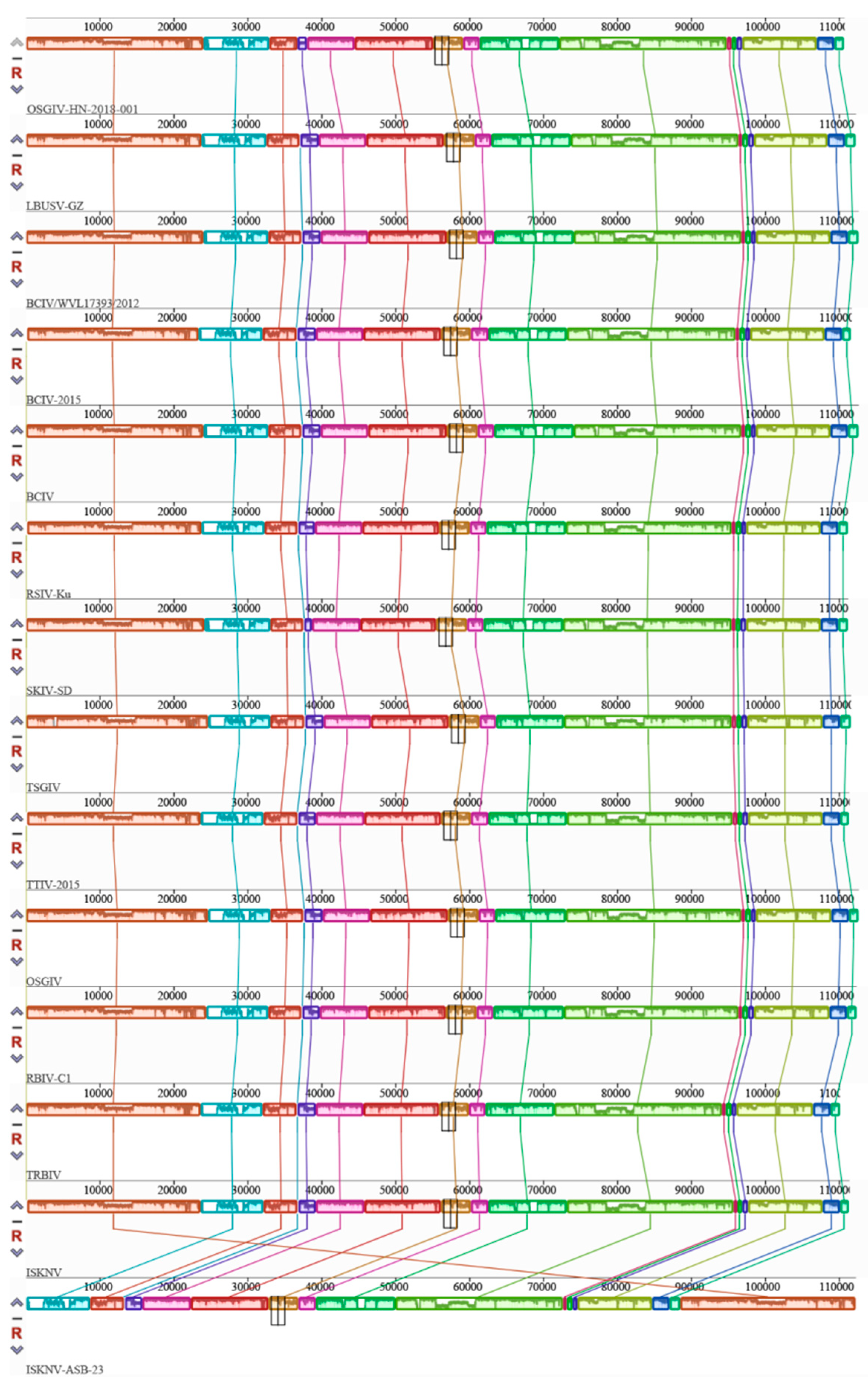 Viruses 16 01513 g005