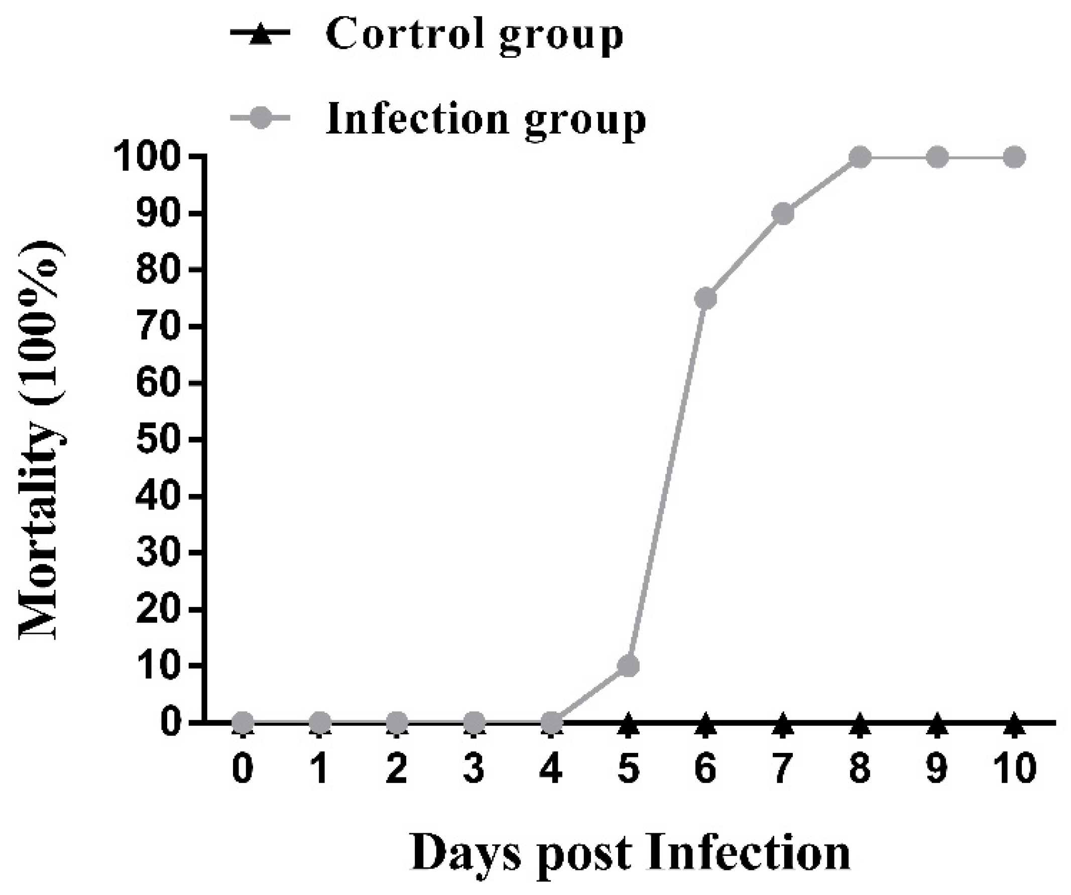 Viruses 16 01513 g006