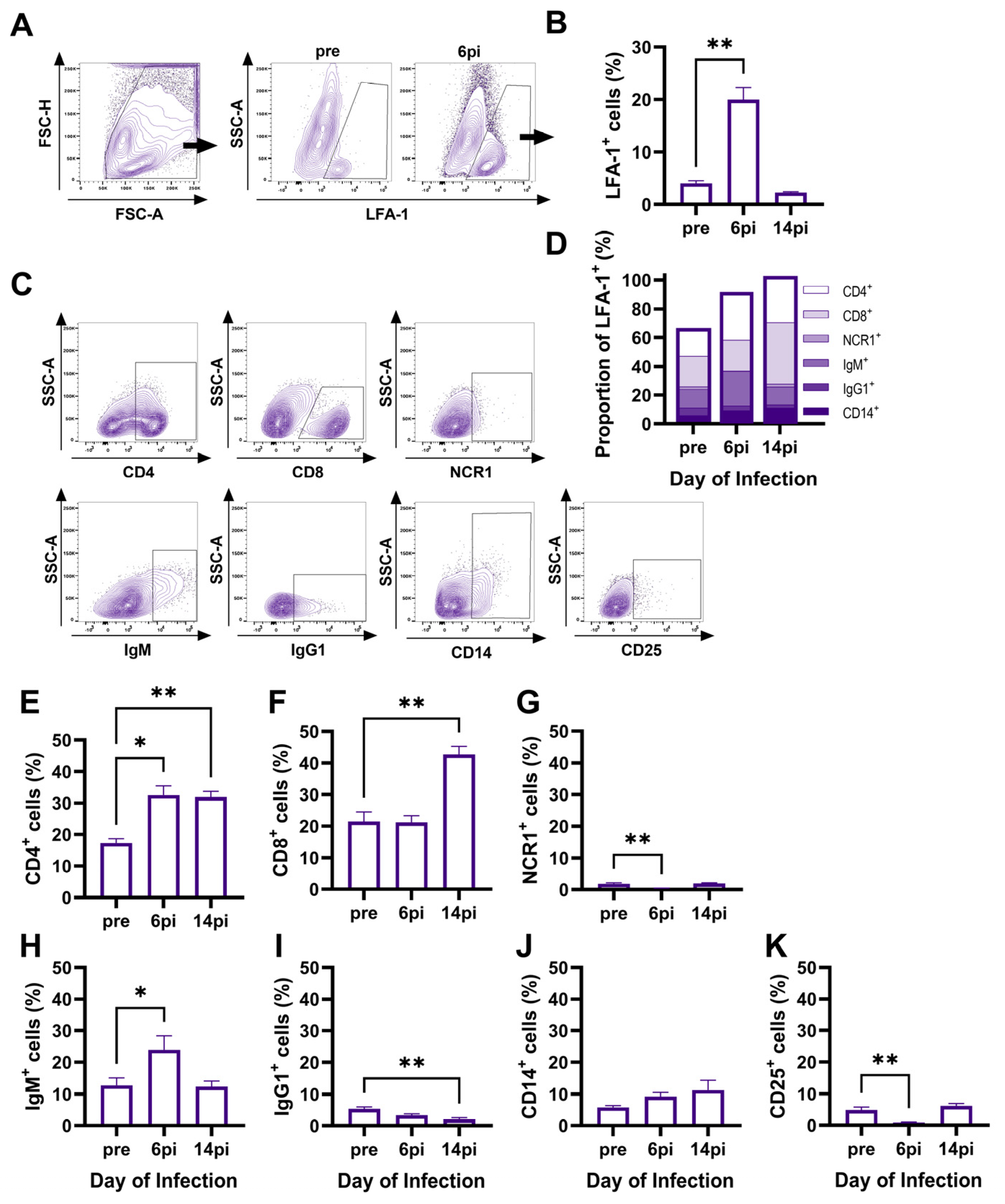 Viruses 16 01514 g001