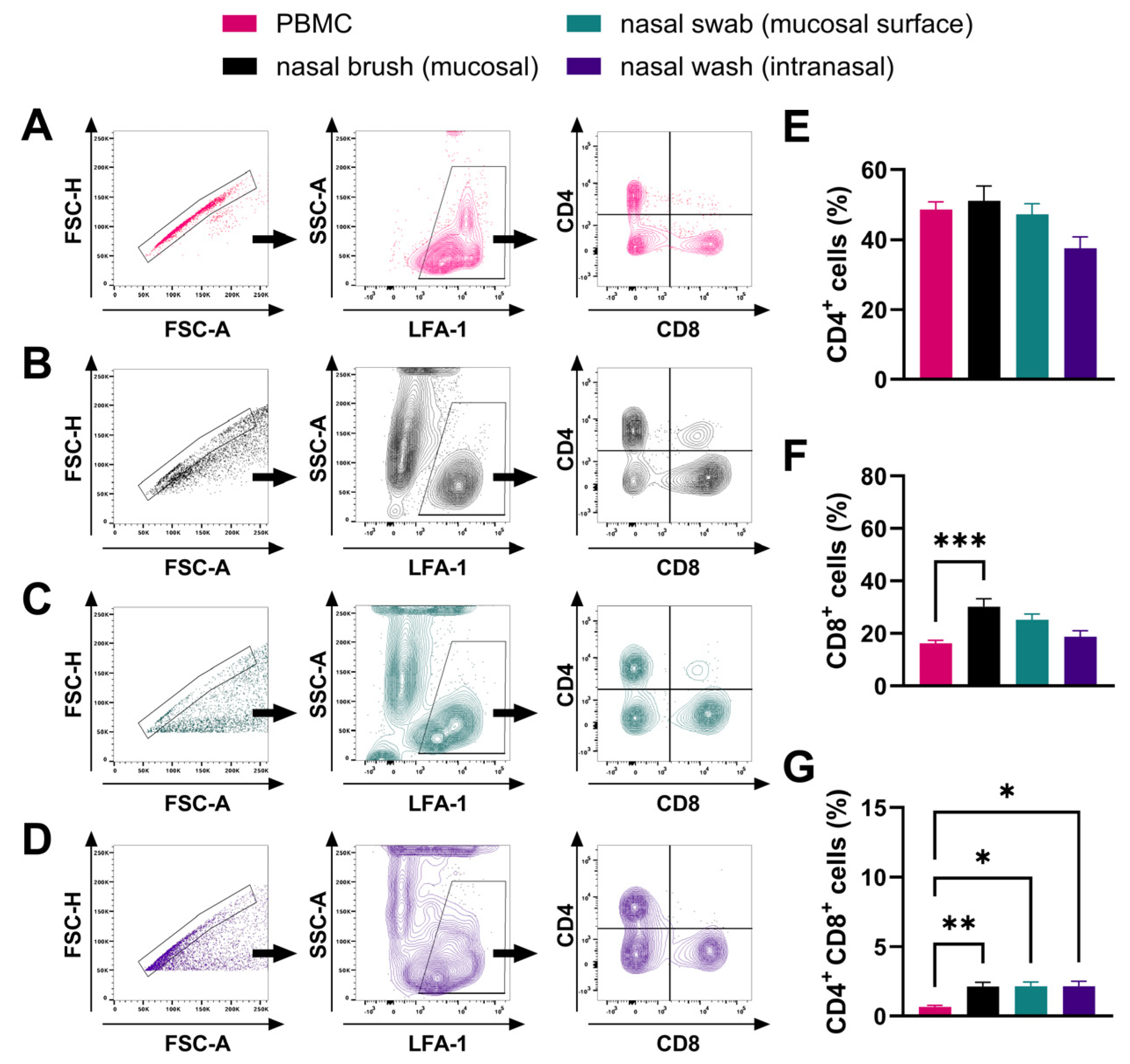 Viruses 16 01514 g002