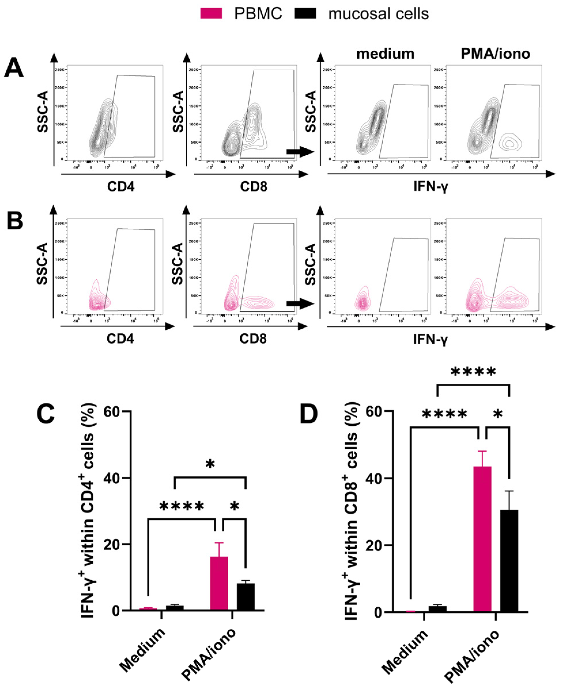Viruses 16 01514 g004