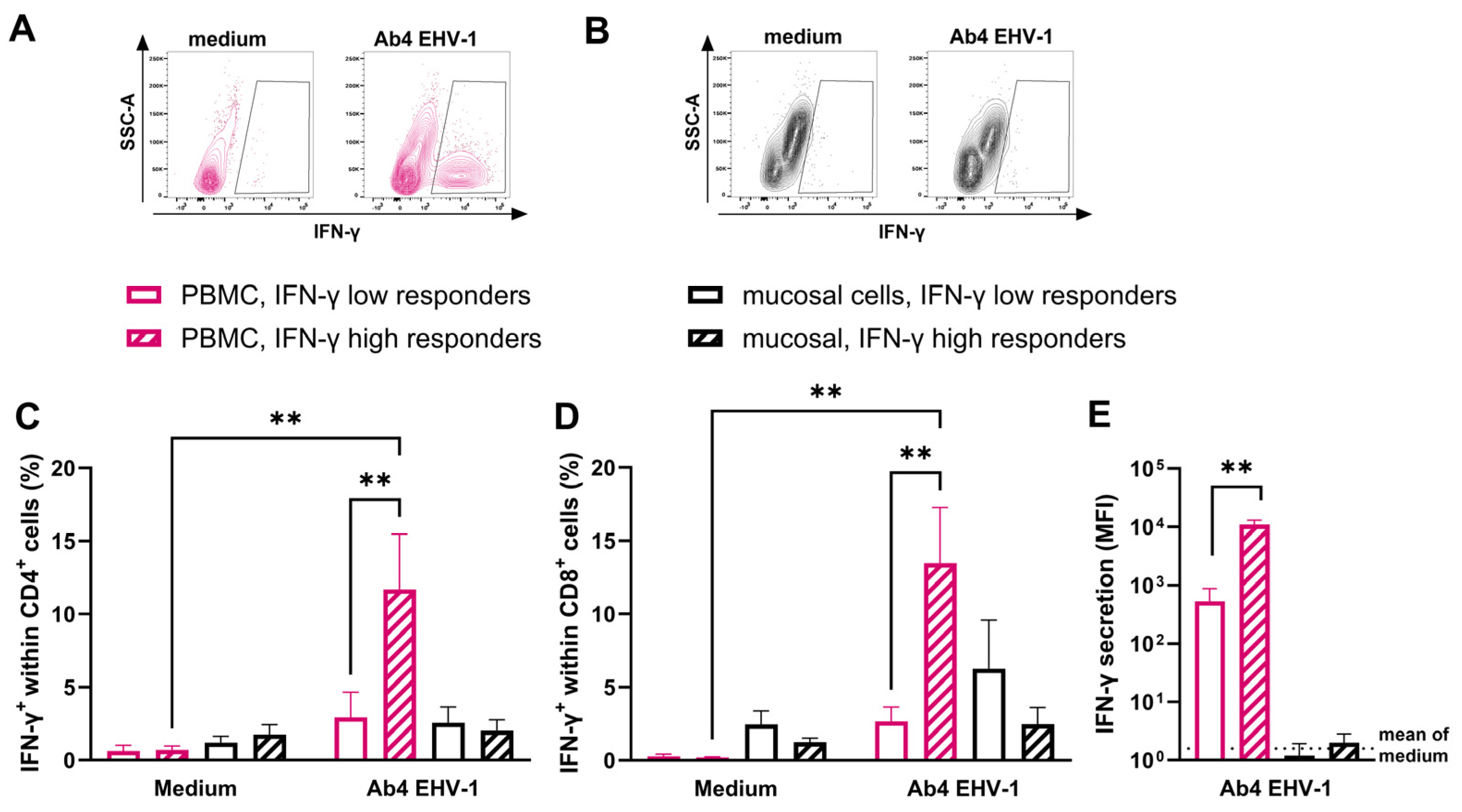 Viruses 16 01514 g005