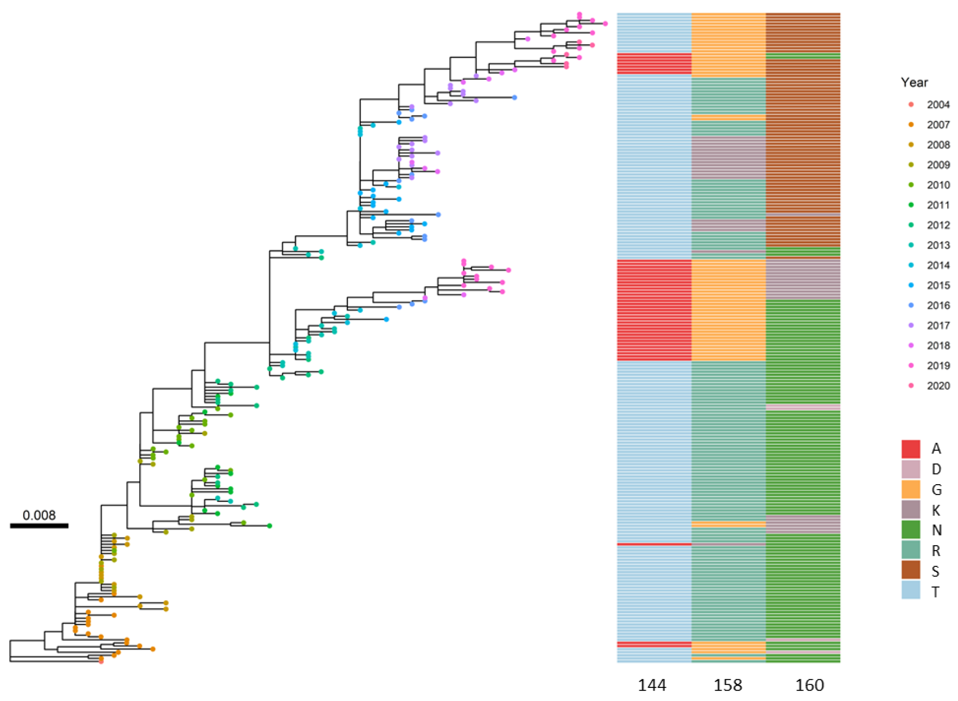 Viruses 16 01515 g002 Viruses 16 01515 g002