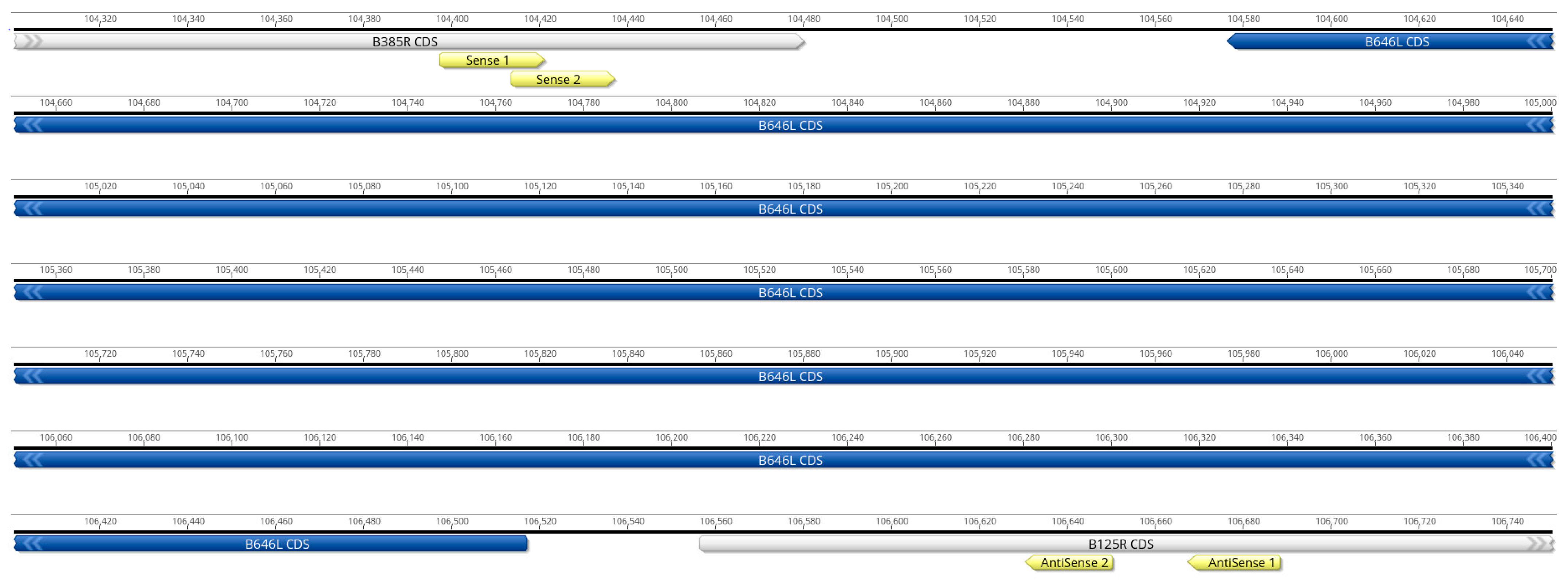 Viruses 16 01522 g001