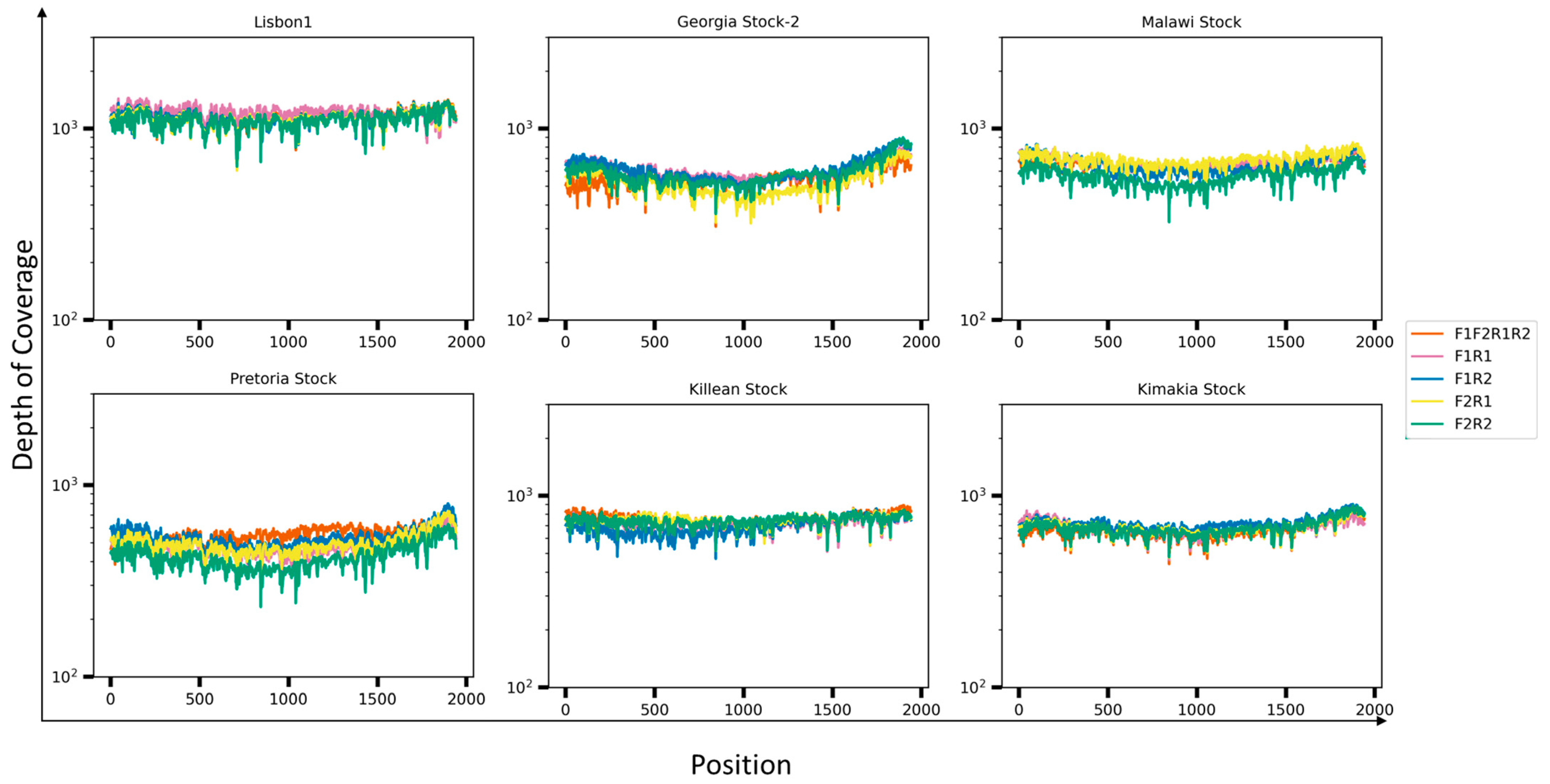 Viruses 16 01522 g005