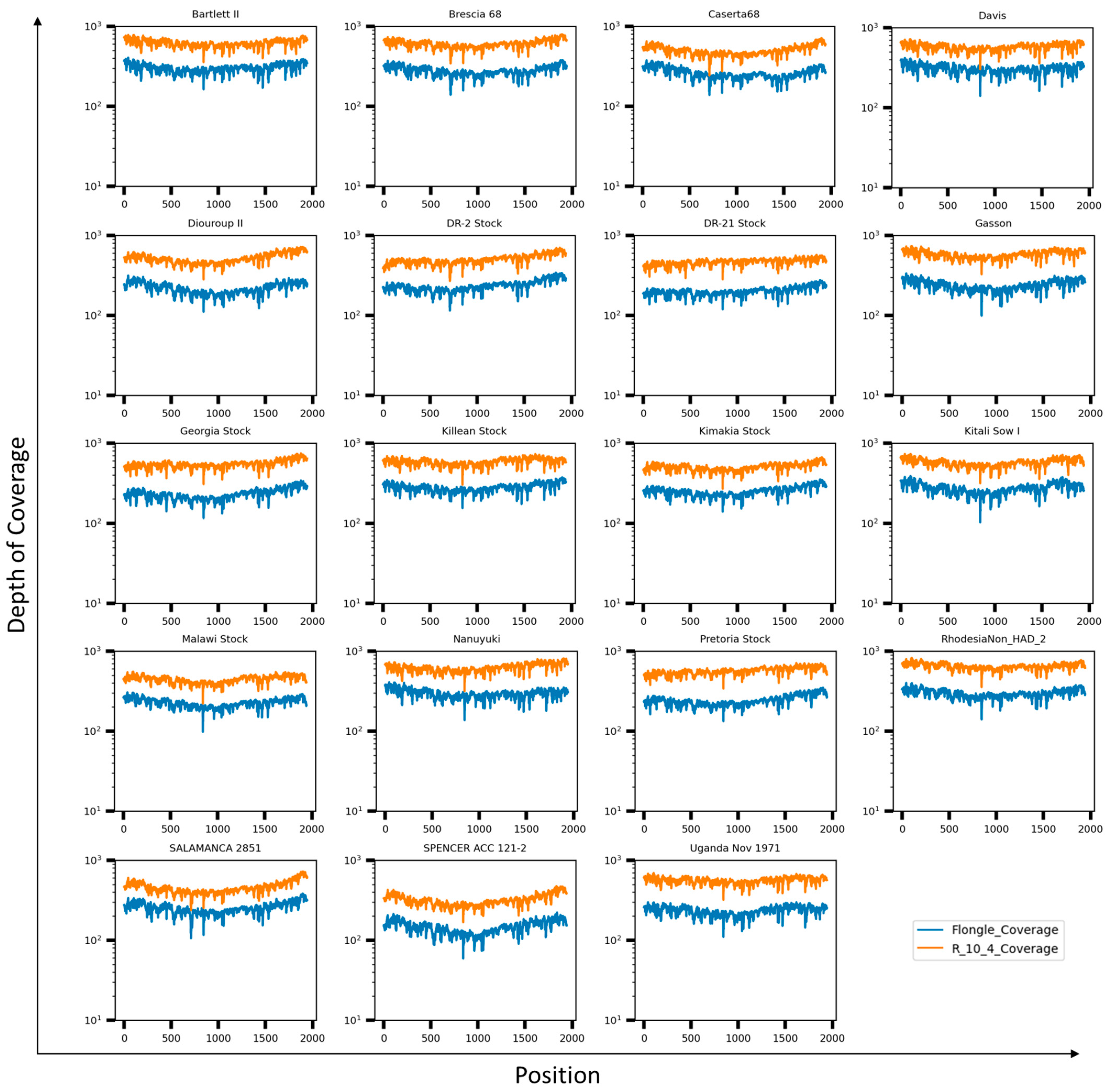 Viruses 16 01522 g006