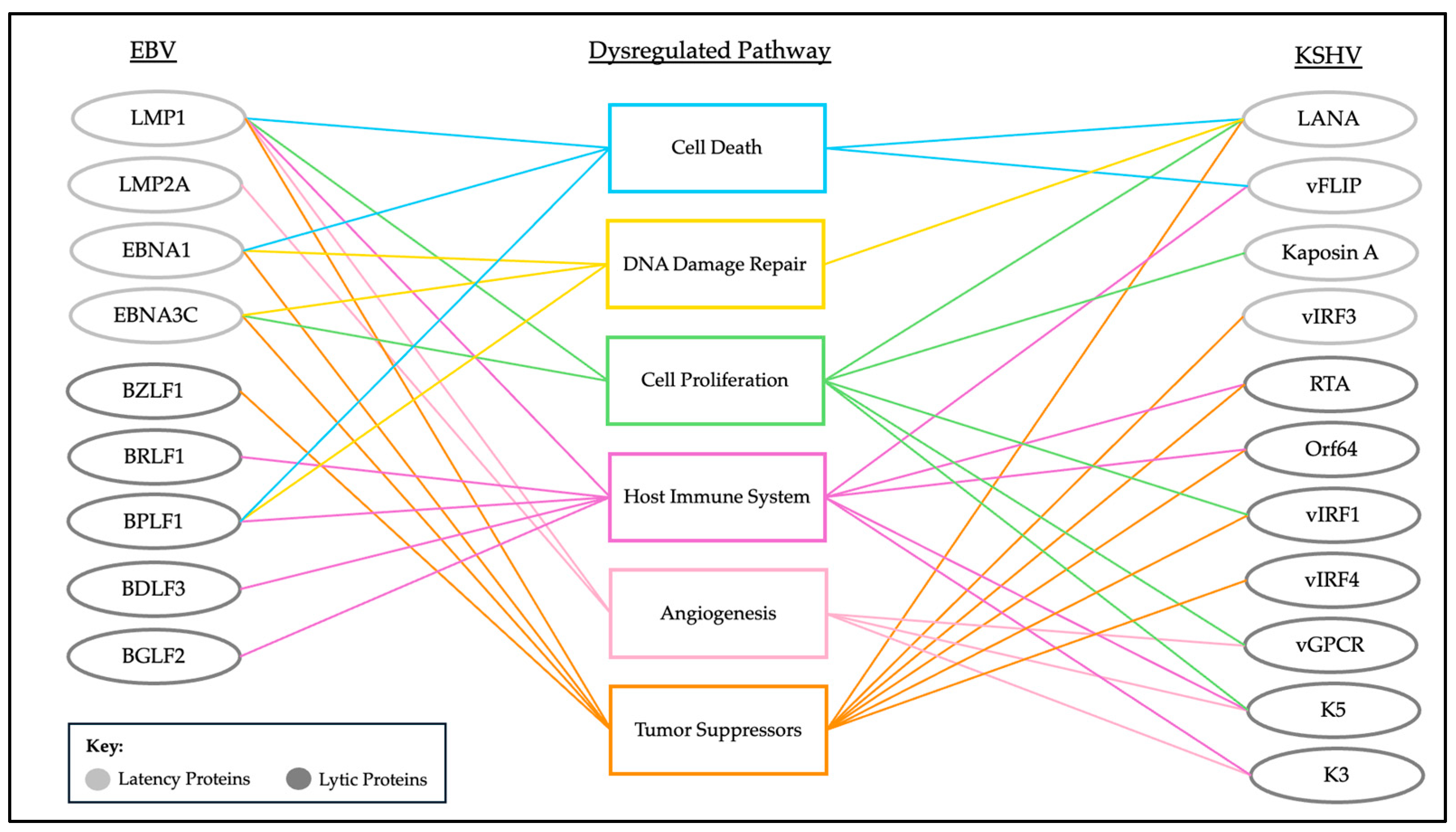 Viruses 16 01523 g002 Viruses 16 01523 g002